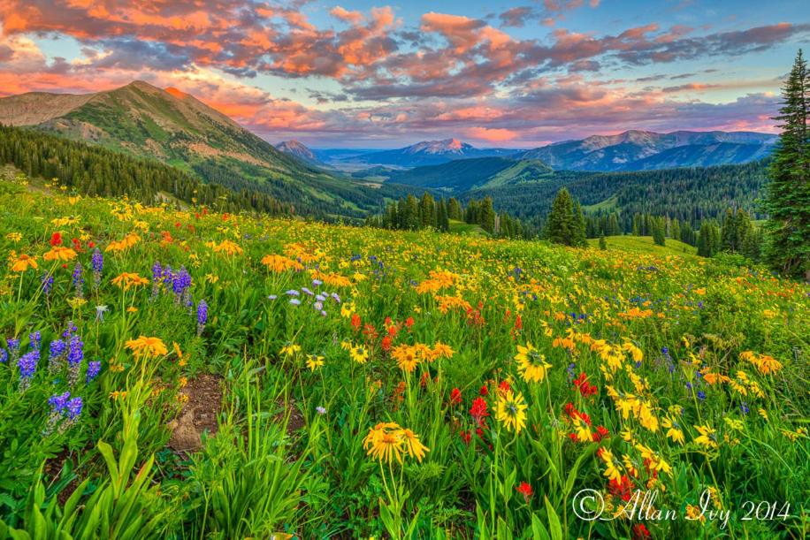 Alpine Inn & Suites Gunnison, Billede 22