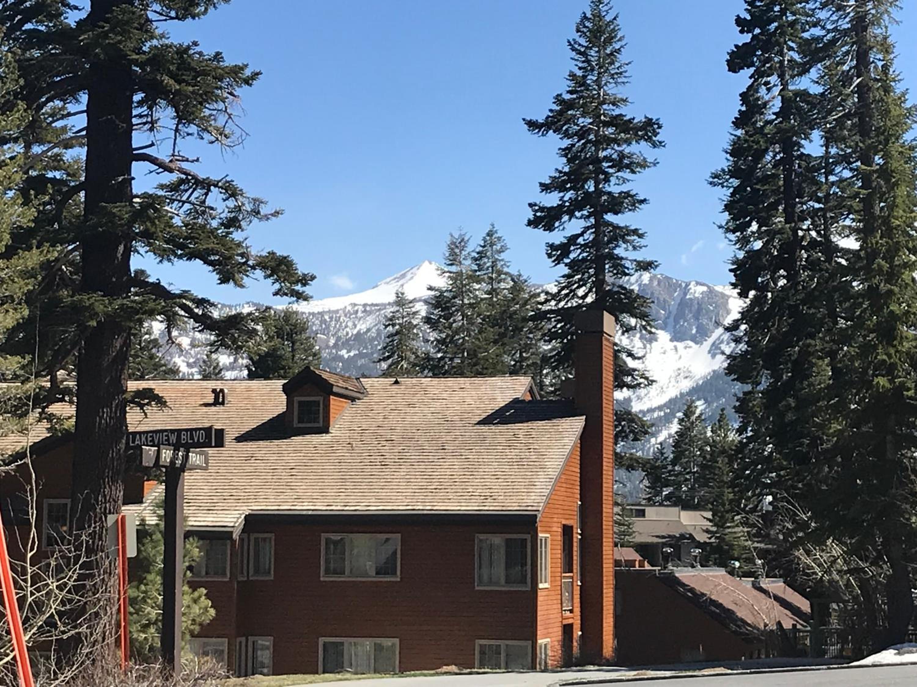 Mountainback 57 Den view 3