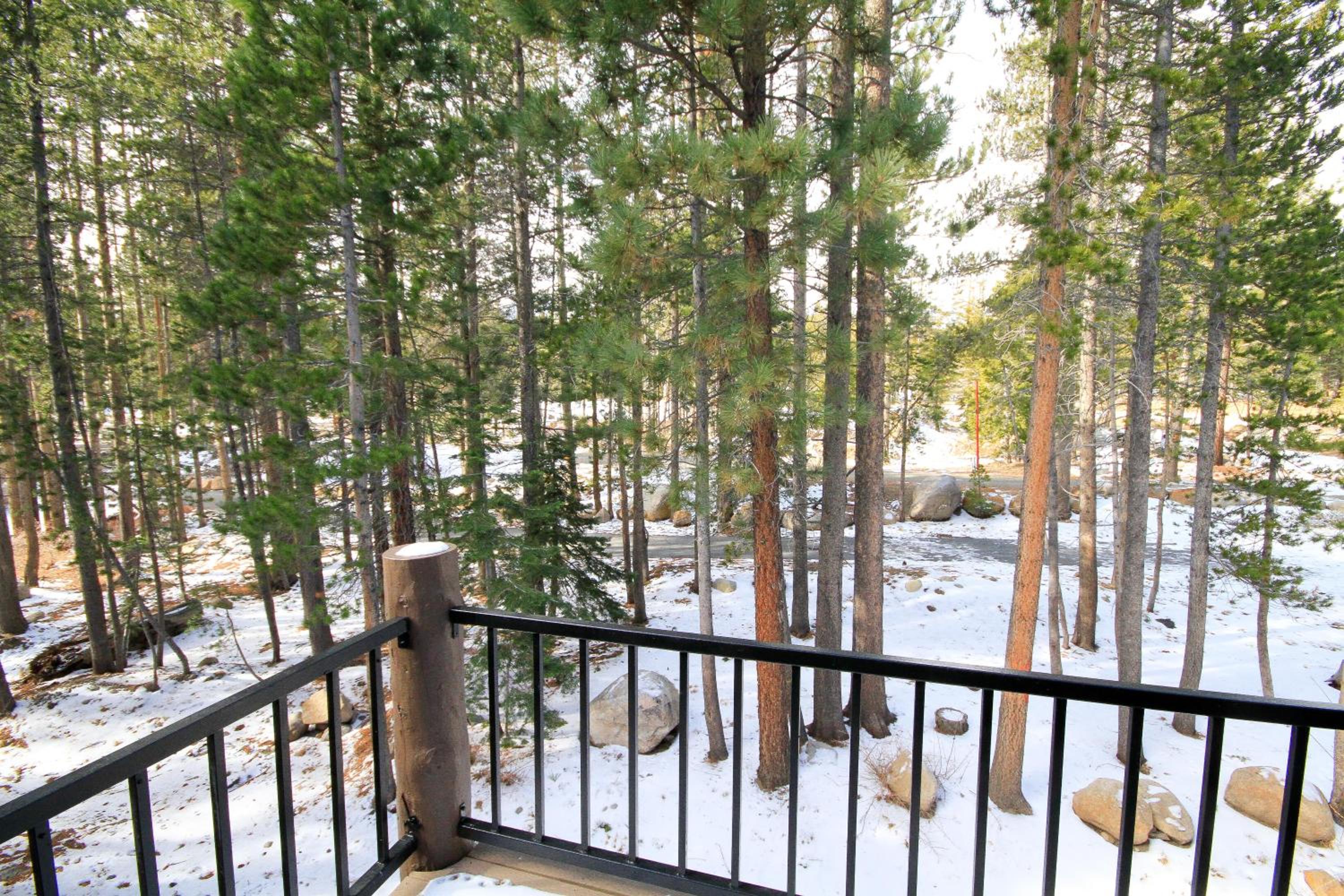 Forest Creek 3 Pet accepted view 2