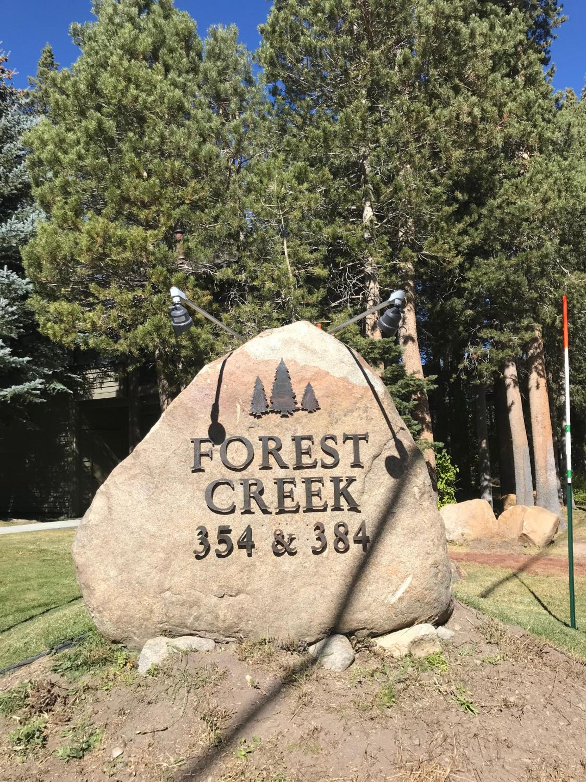 Forest Creek 3 Pet accepted view 3