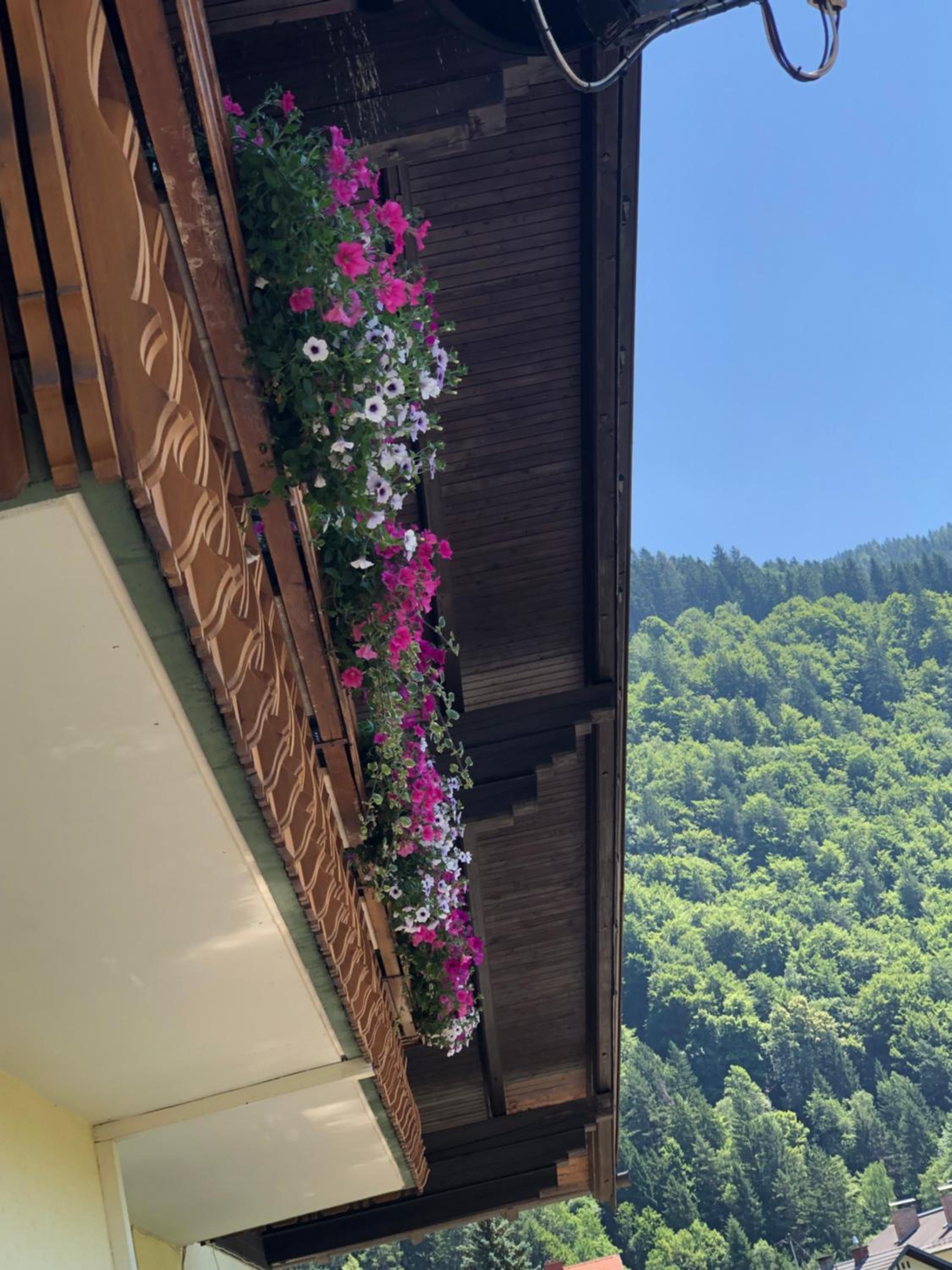 Haus Kärnten