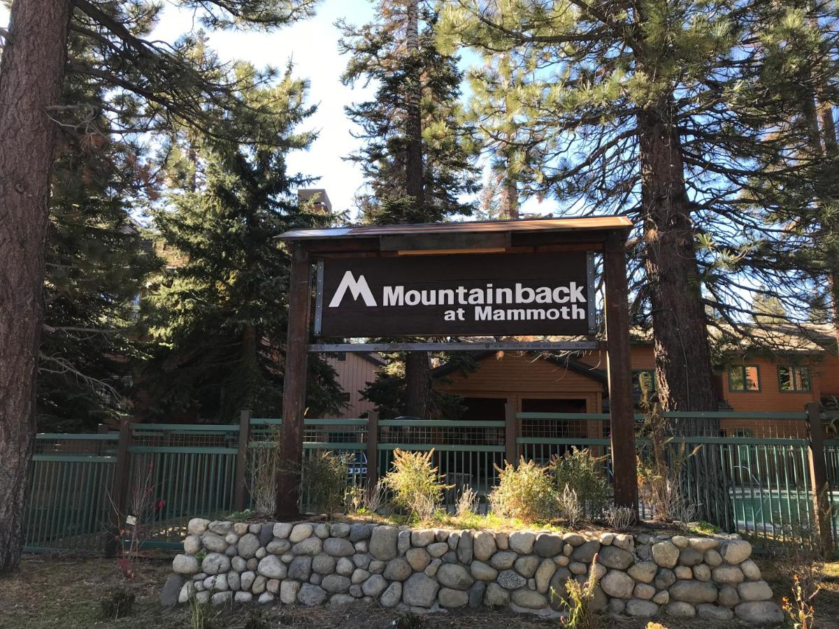 Mountainback #33, Den