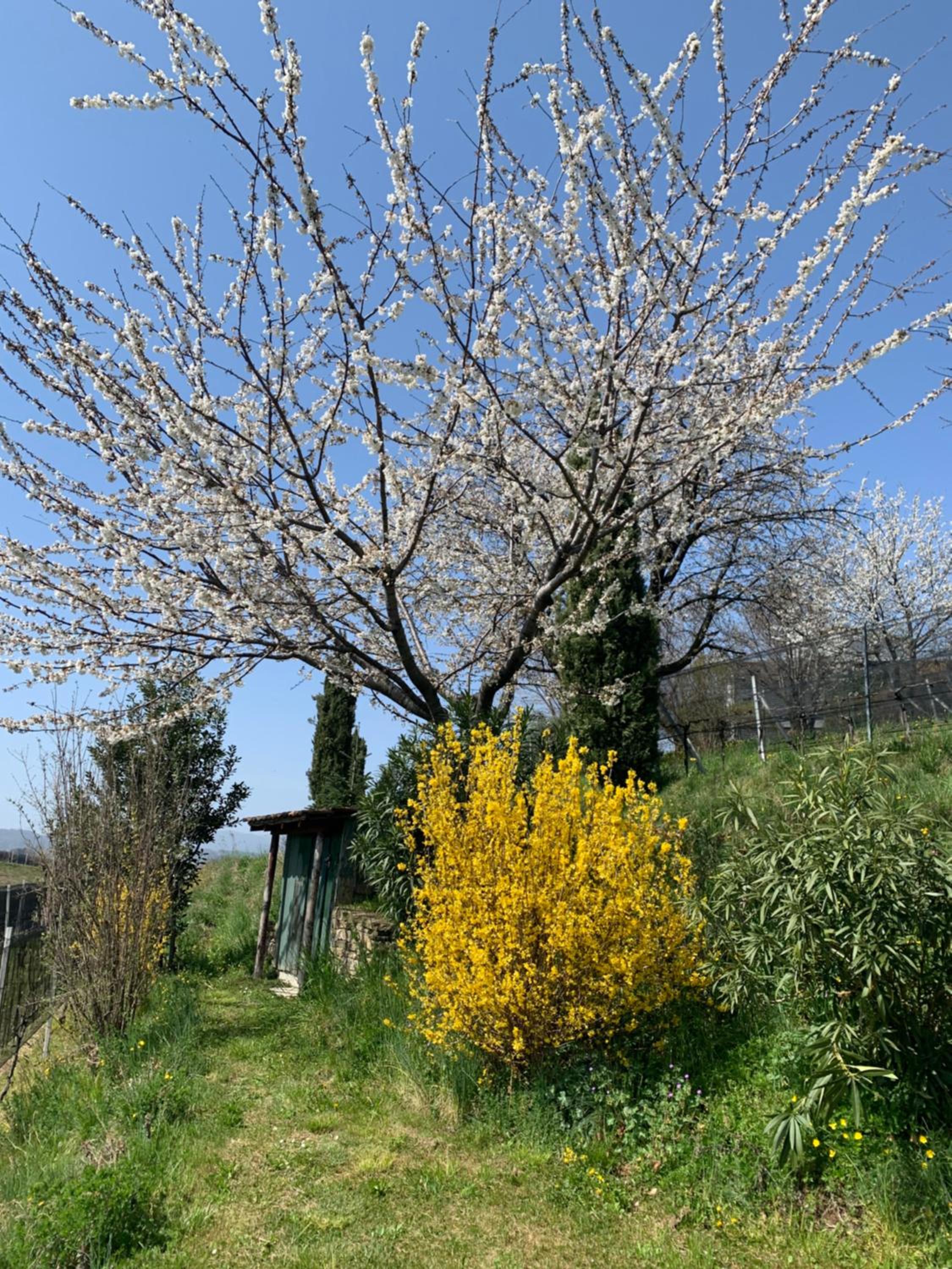 Appartamento TieMi