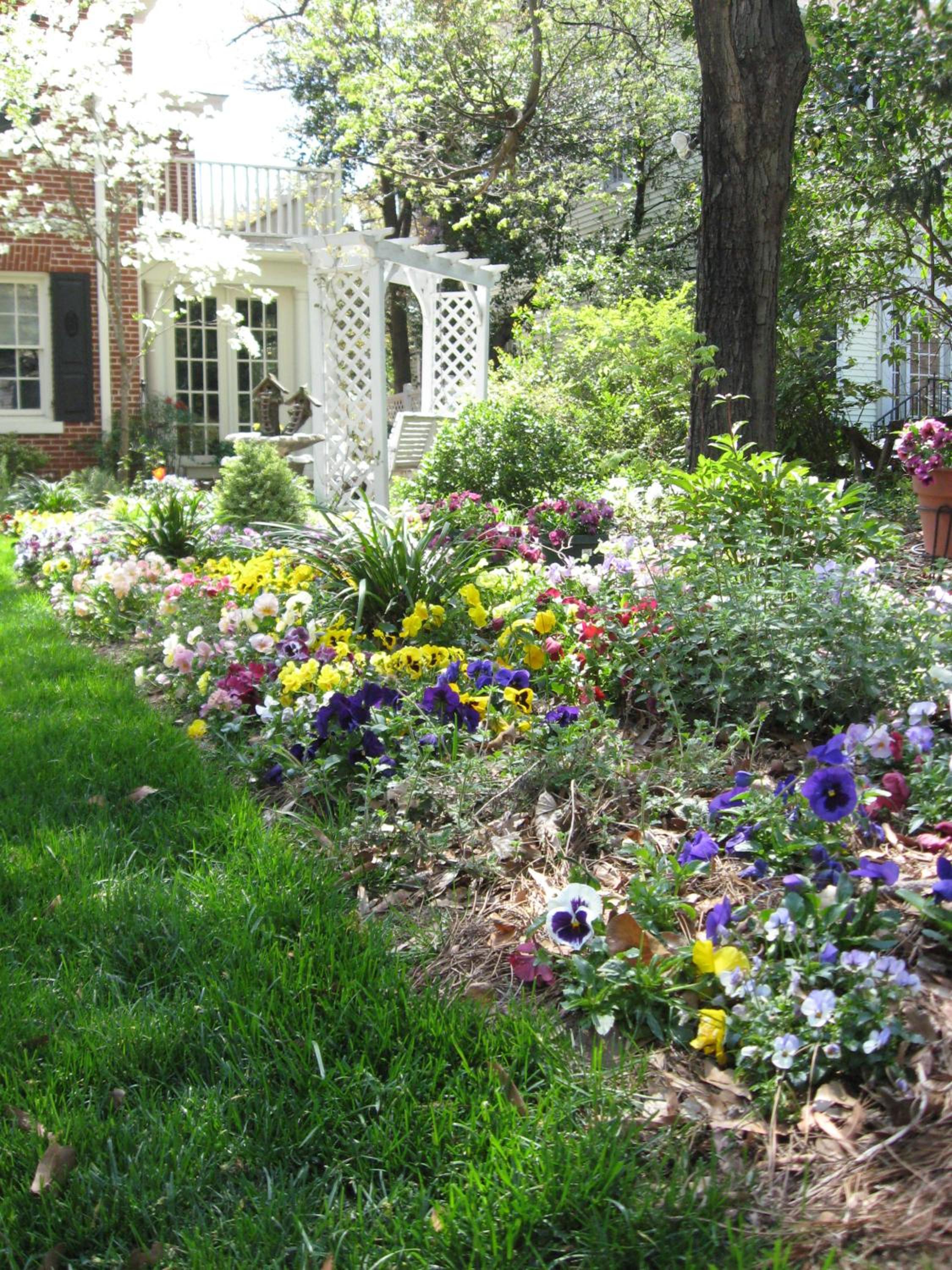 Pettigru Place Bed & Breakfast