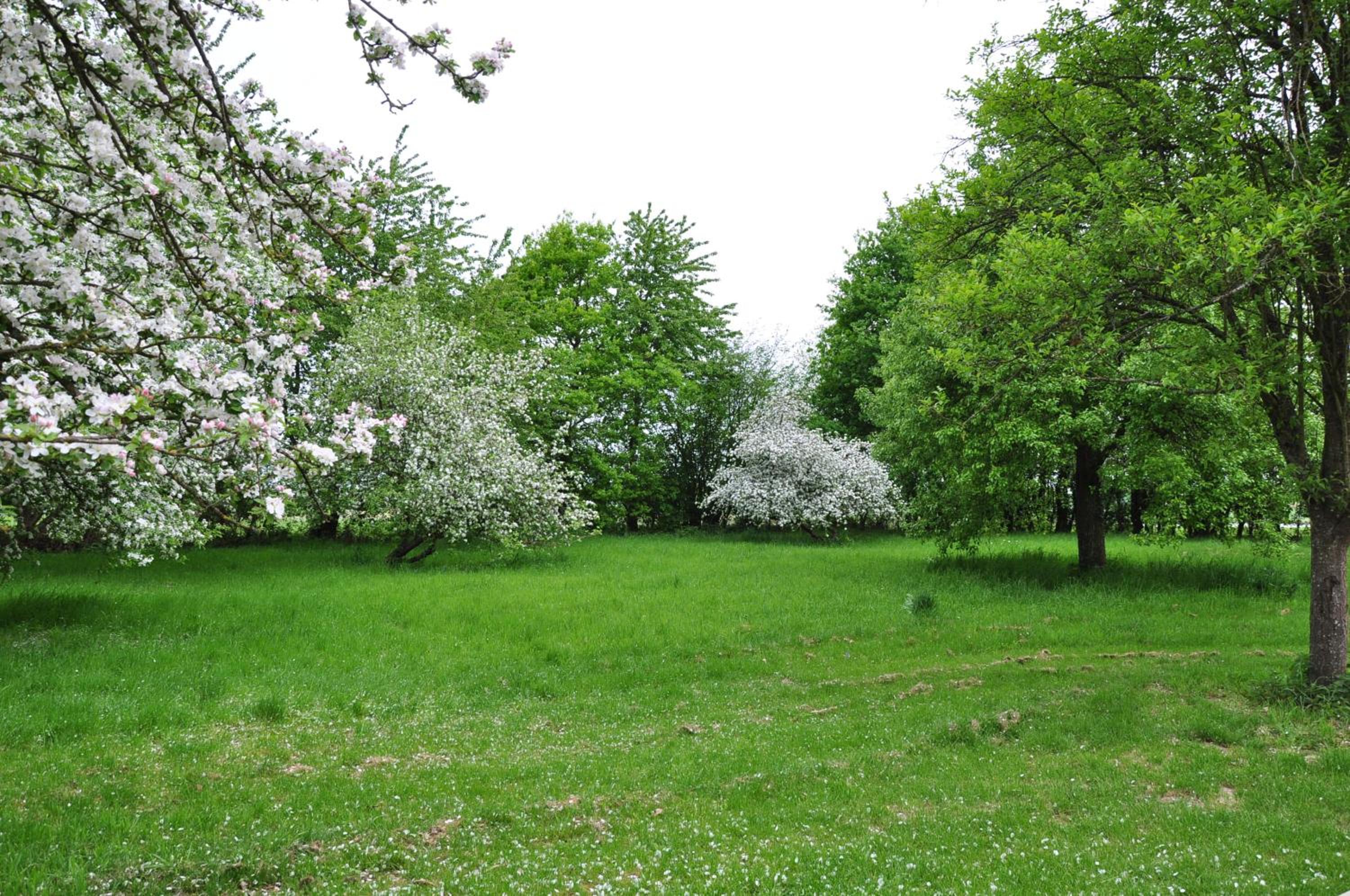 Photo 42
