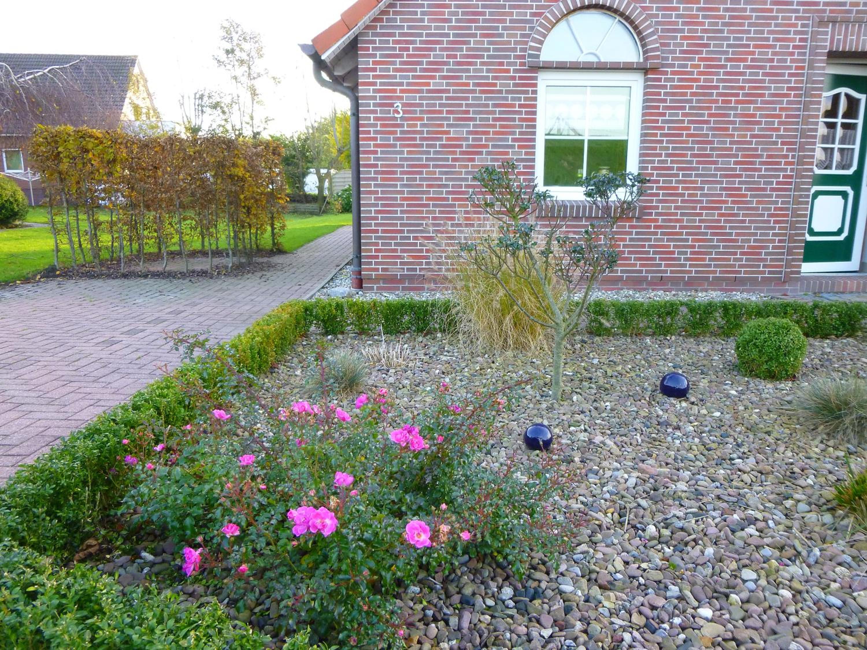 Photo 51