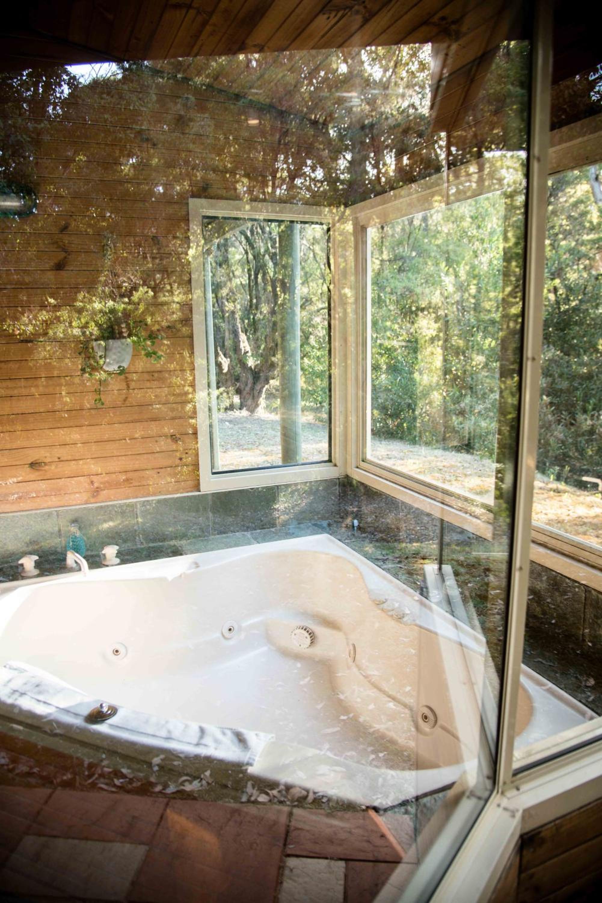 Harmony Forest Cottages & Lake side Lodge