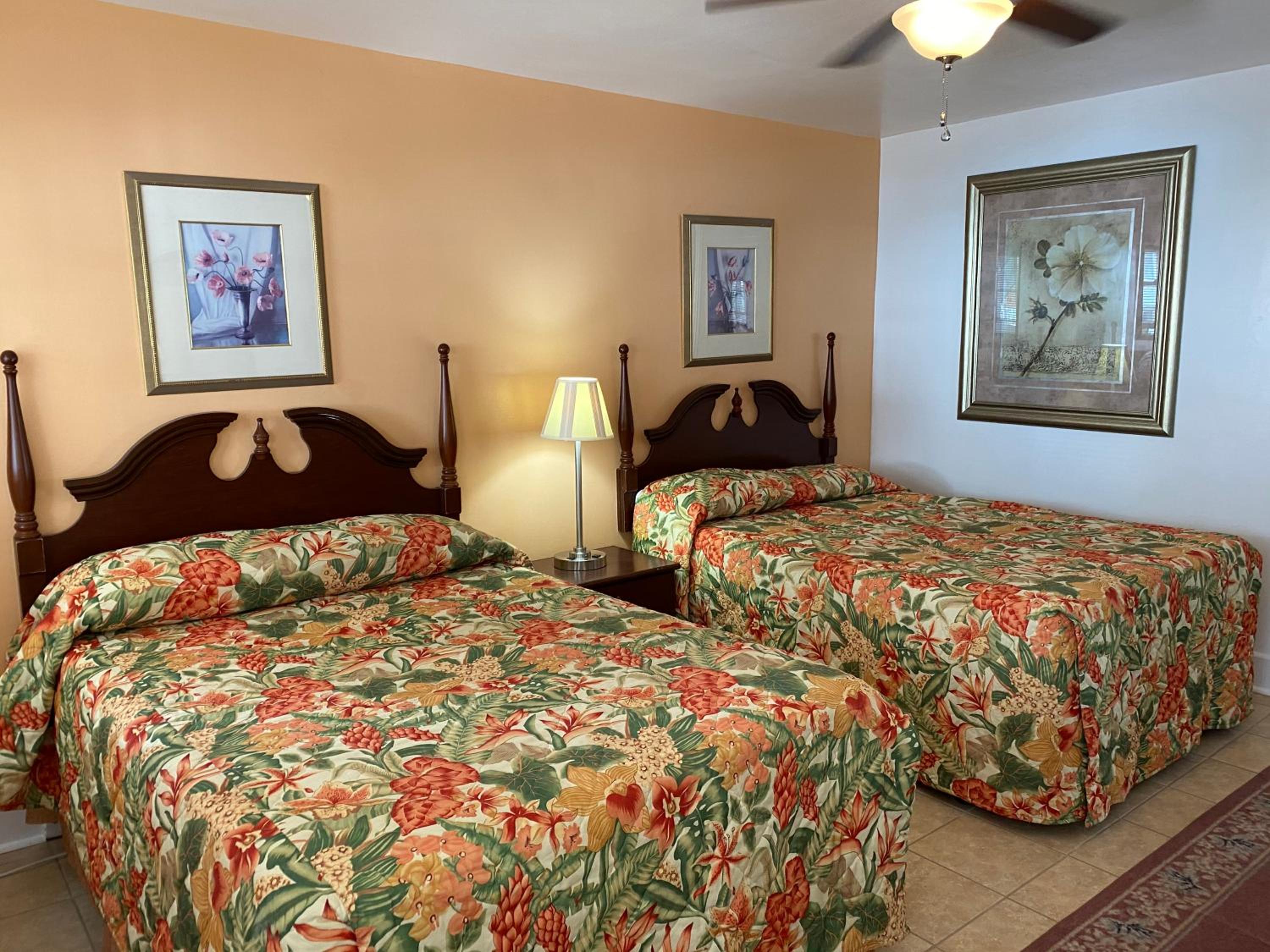 Nock Apartments