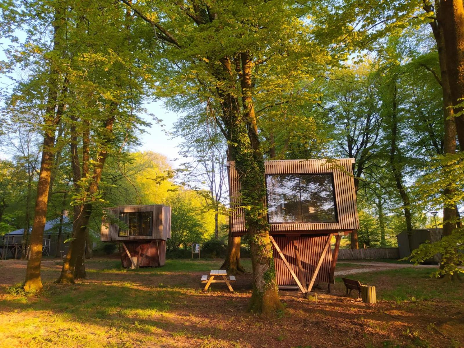 L'étape en forêt