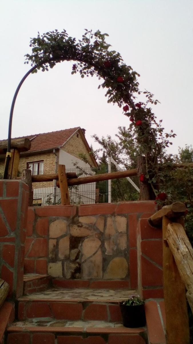 Photo 35