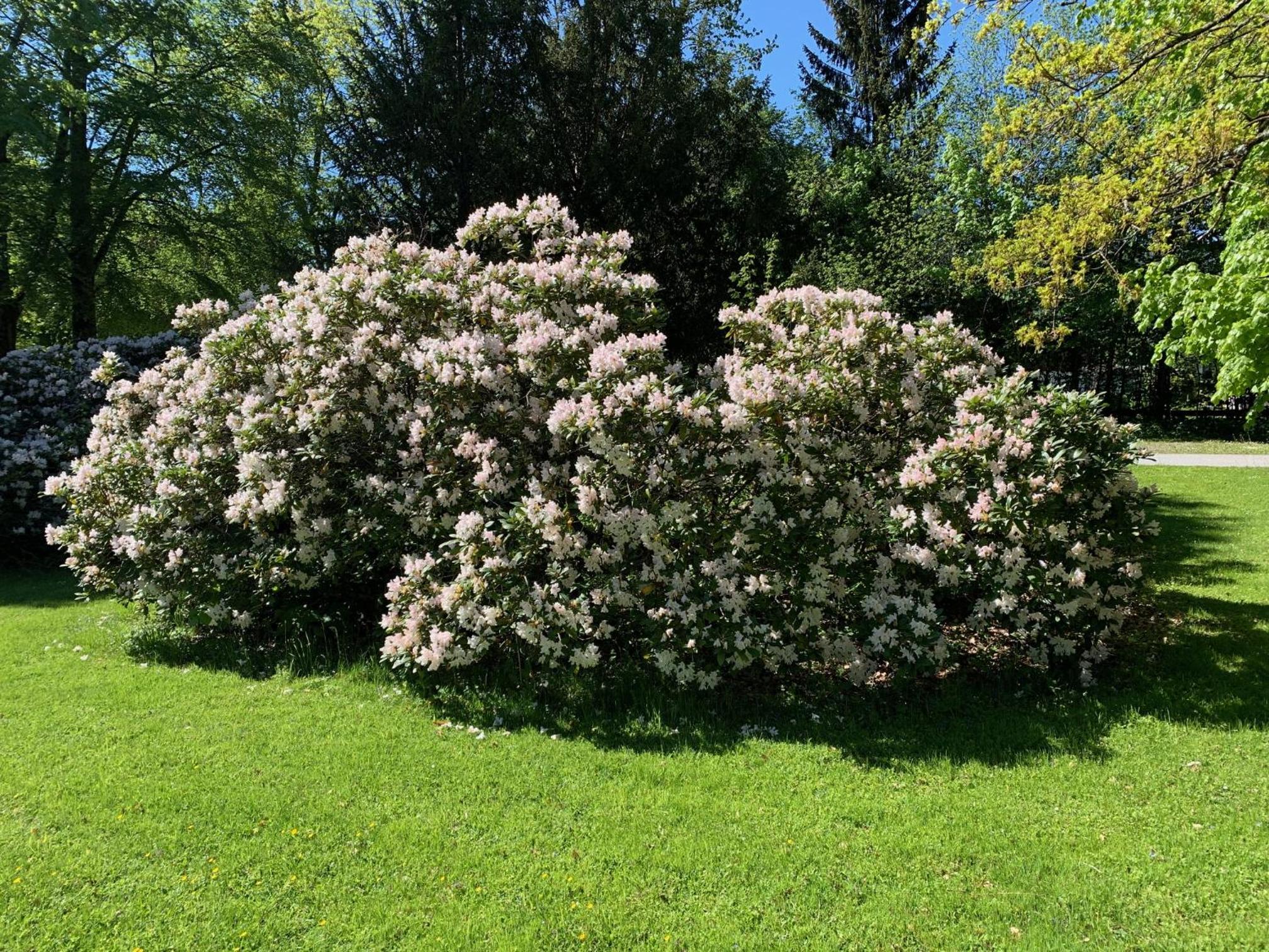 Schlosspark Grubhof - Mitterer