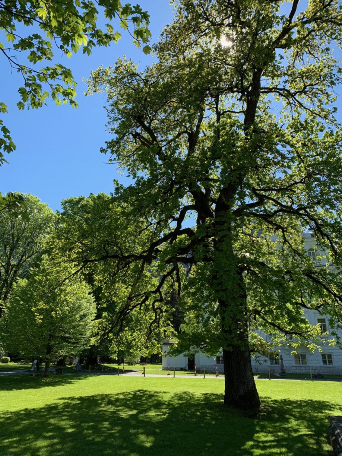 Schlosspark Grubhof - Mitterer