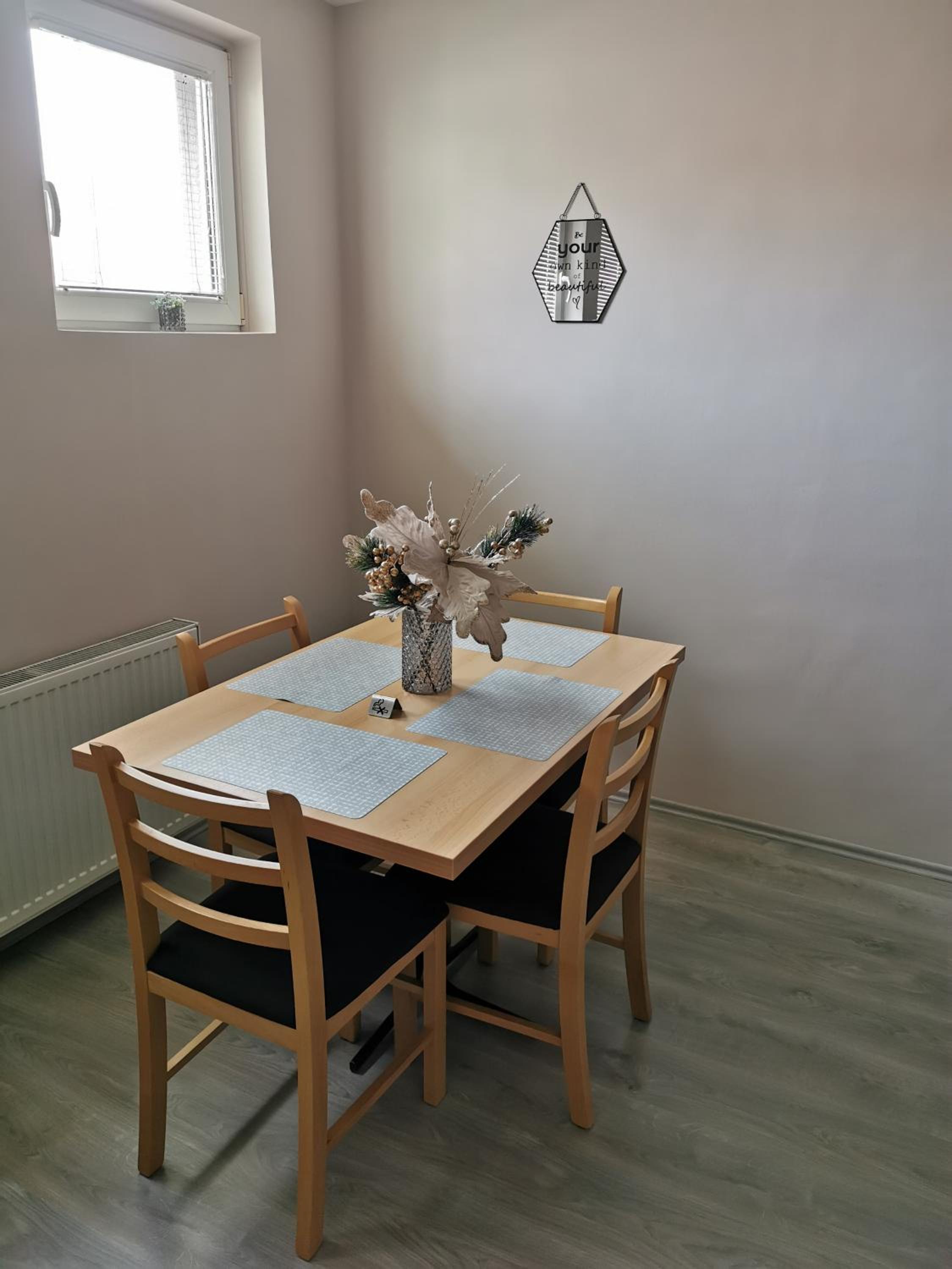 Apartmani Milica view 2