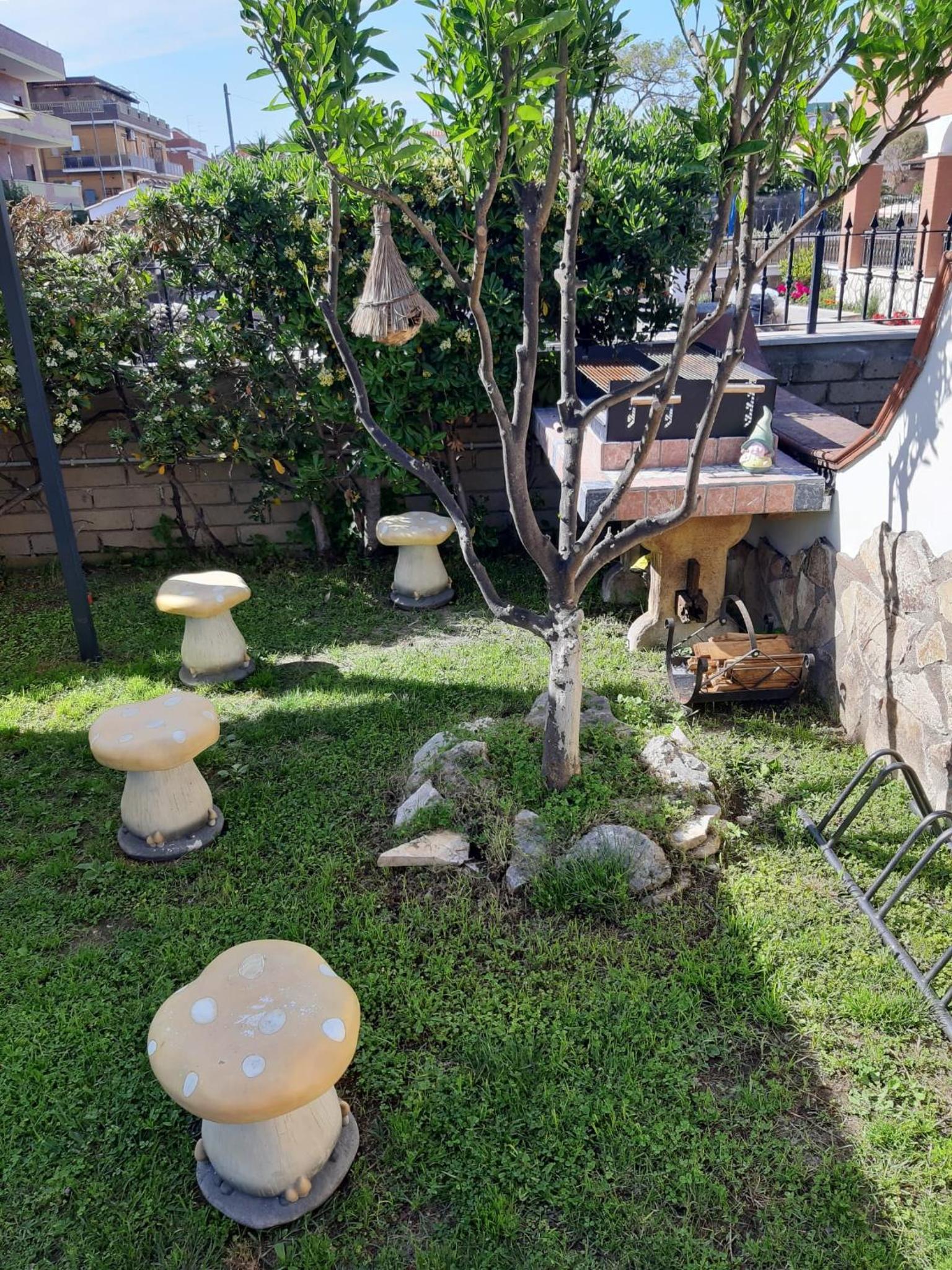 Photo 35