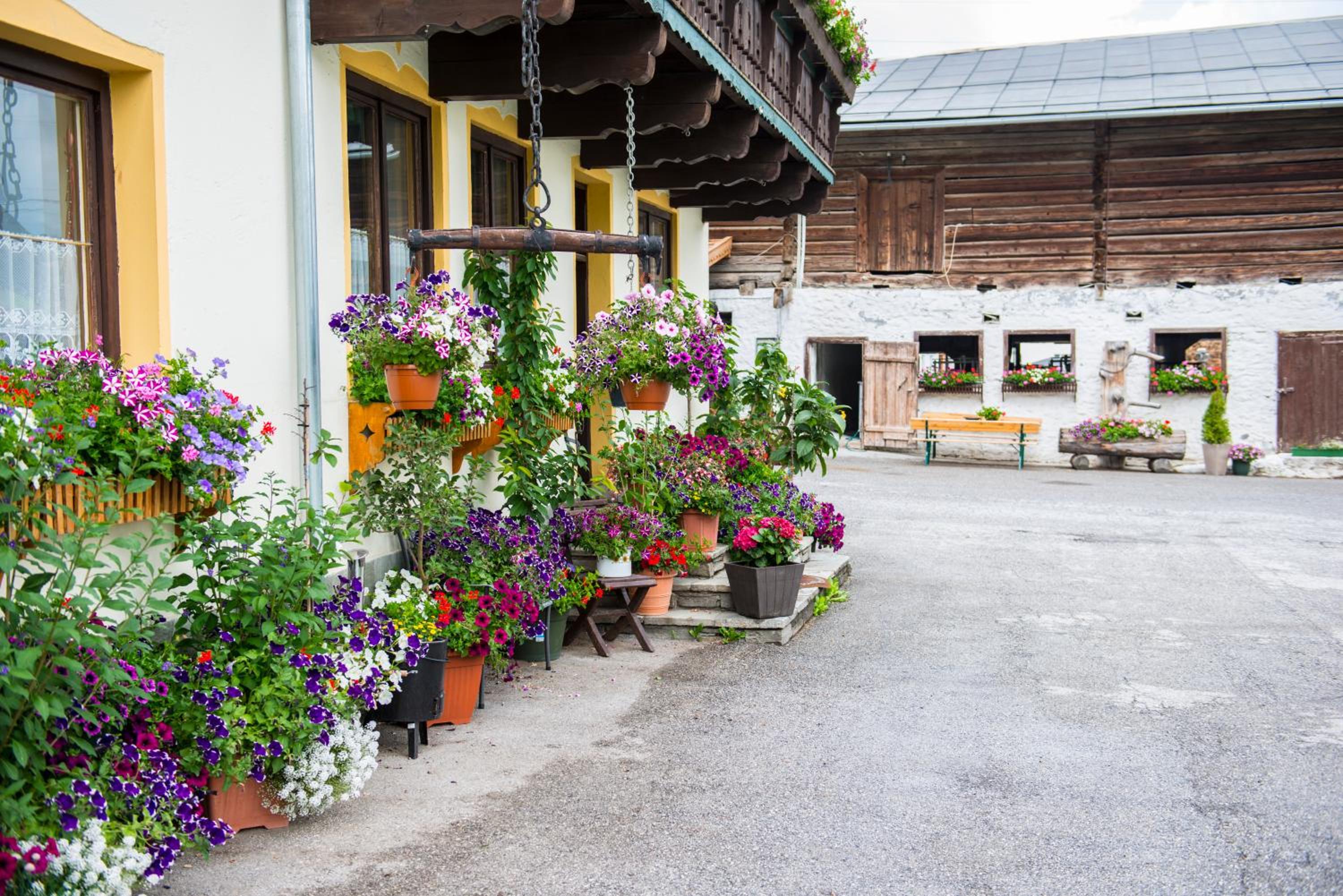 Salaterhof Embach