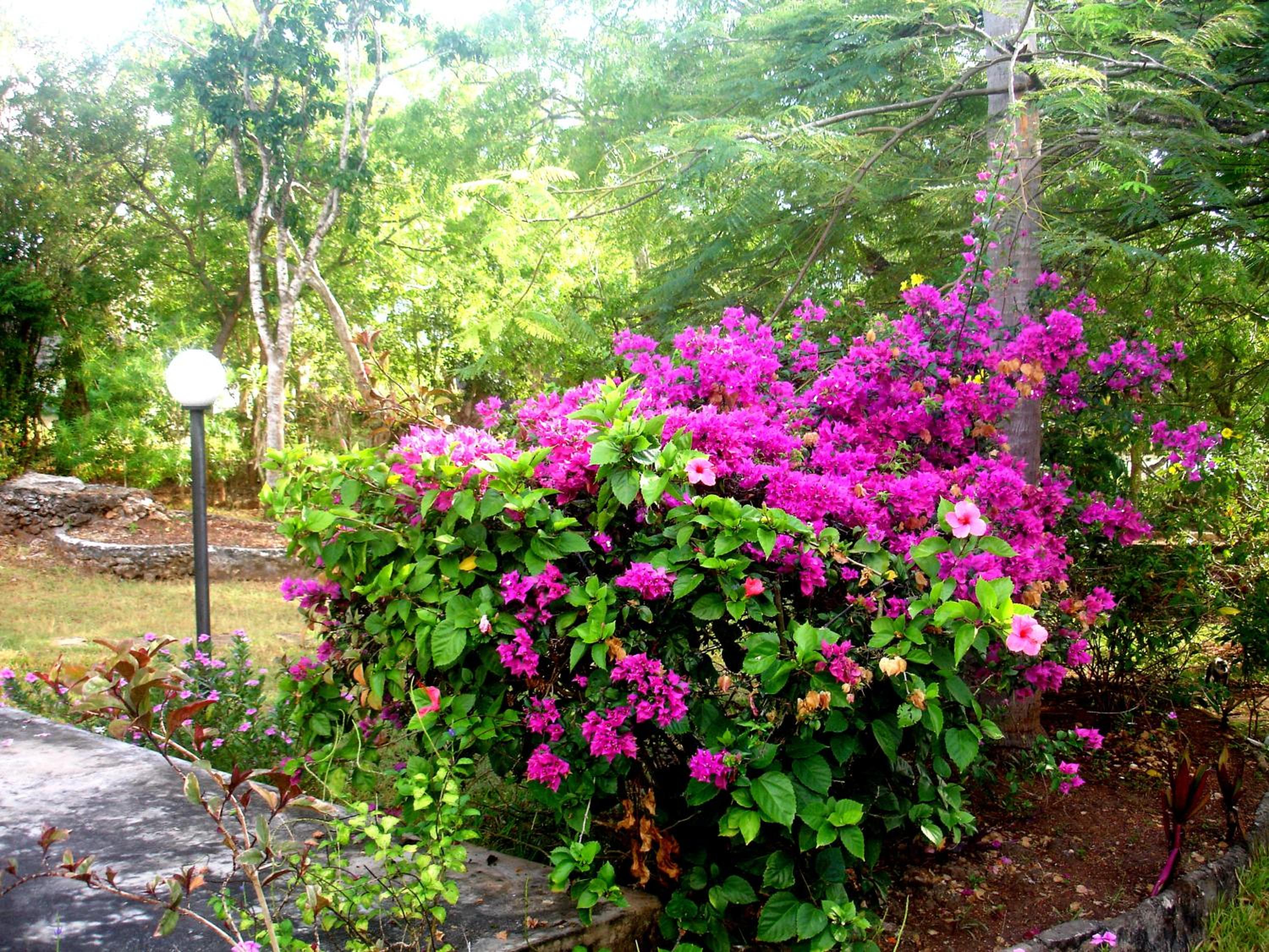 Diani Beachalets