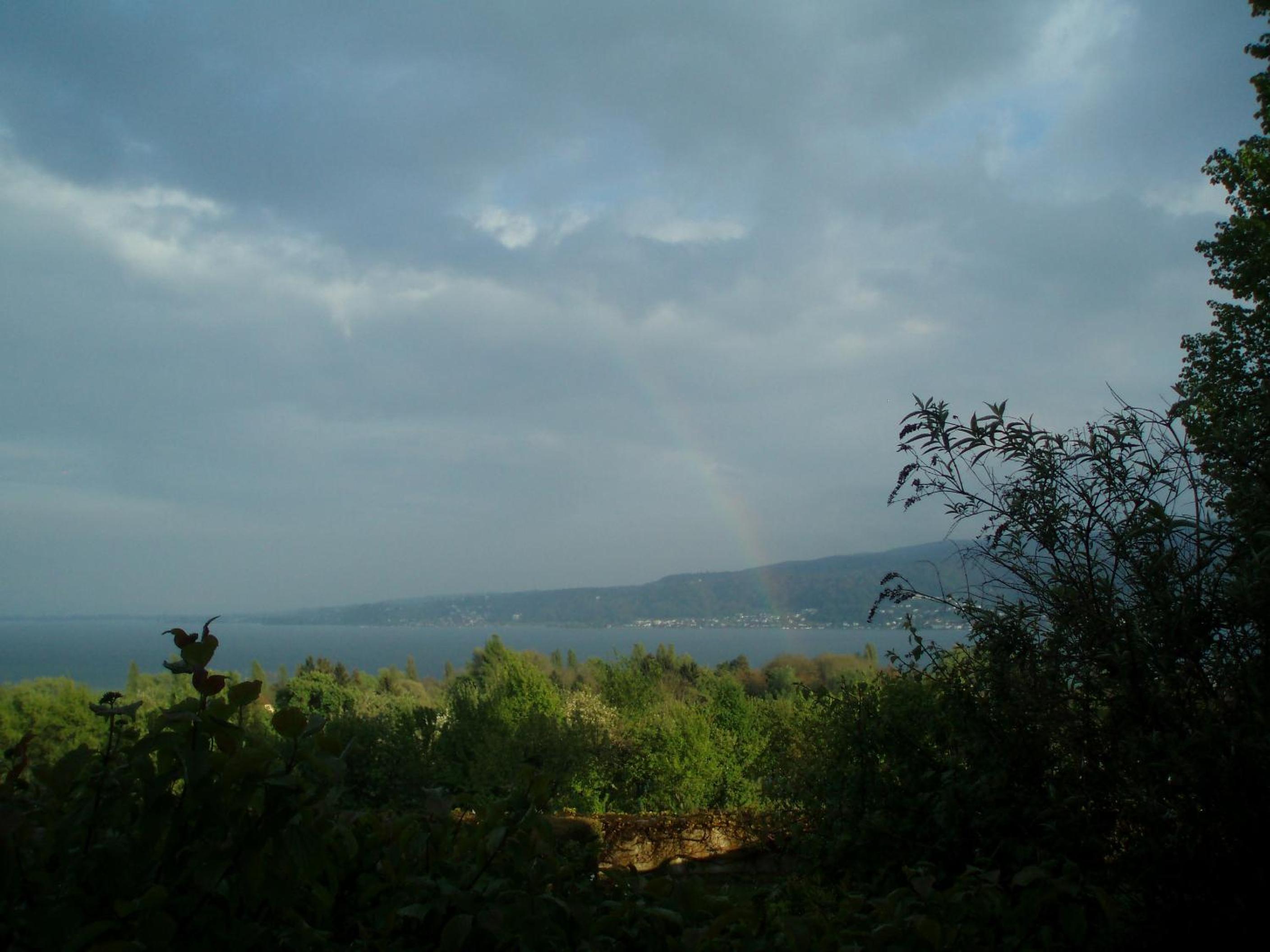 Photo 25