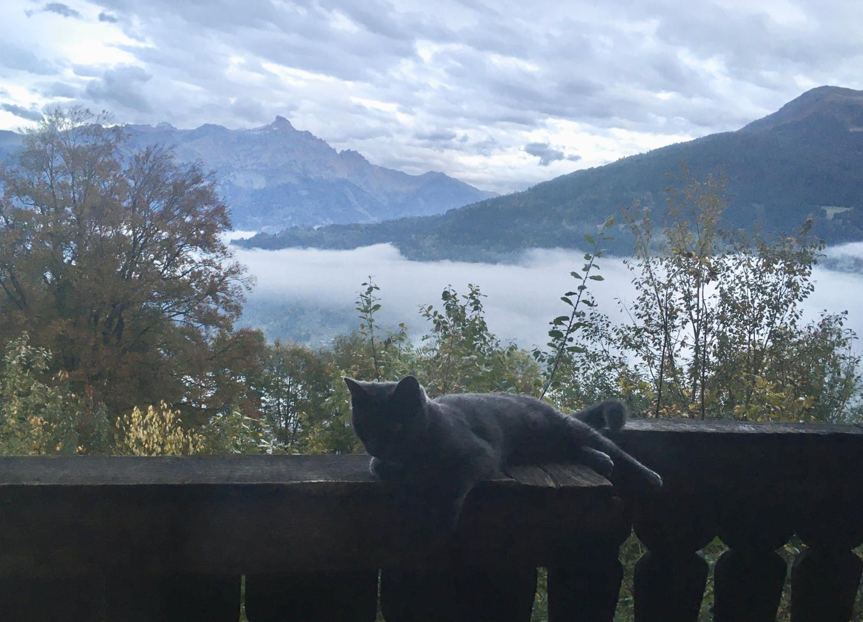 Chalet Ingas