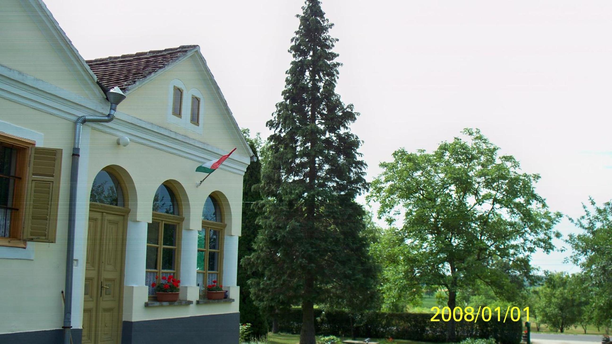 Photo 8