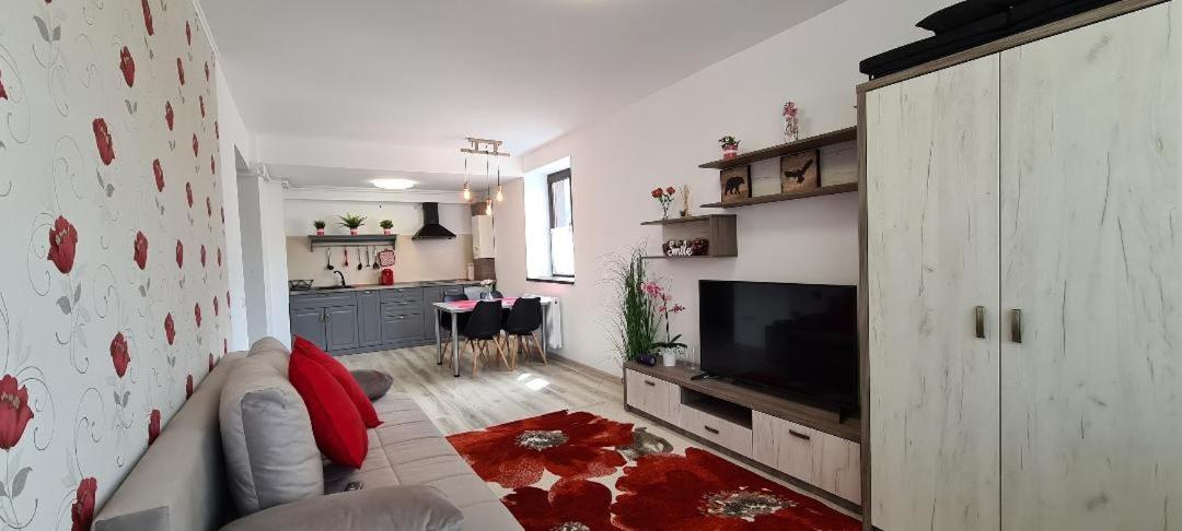 Apartament Mara view 3