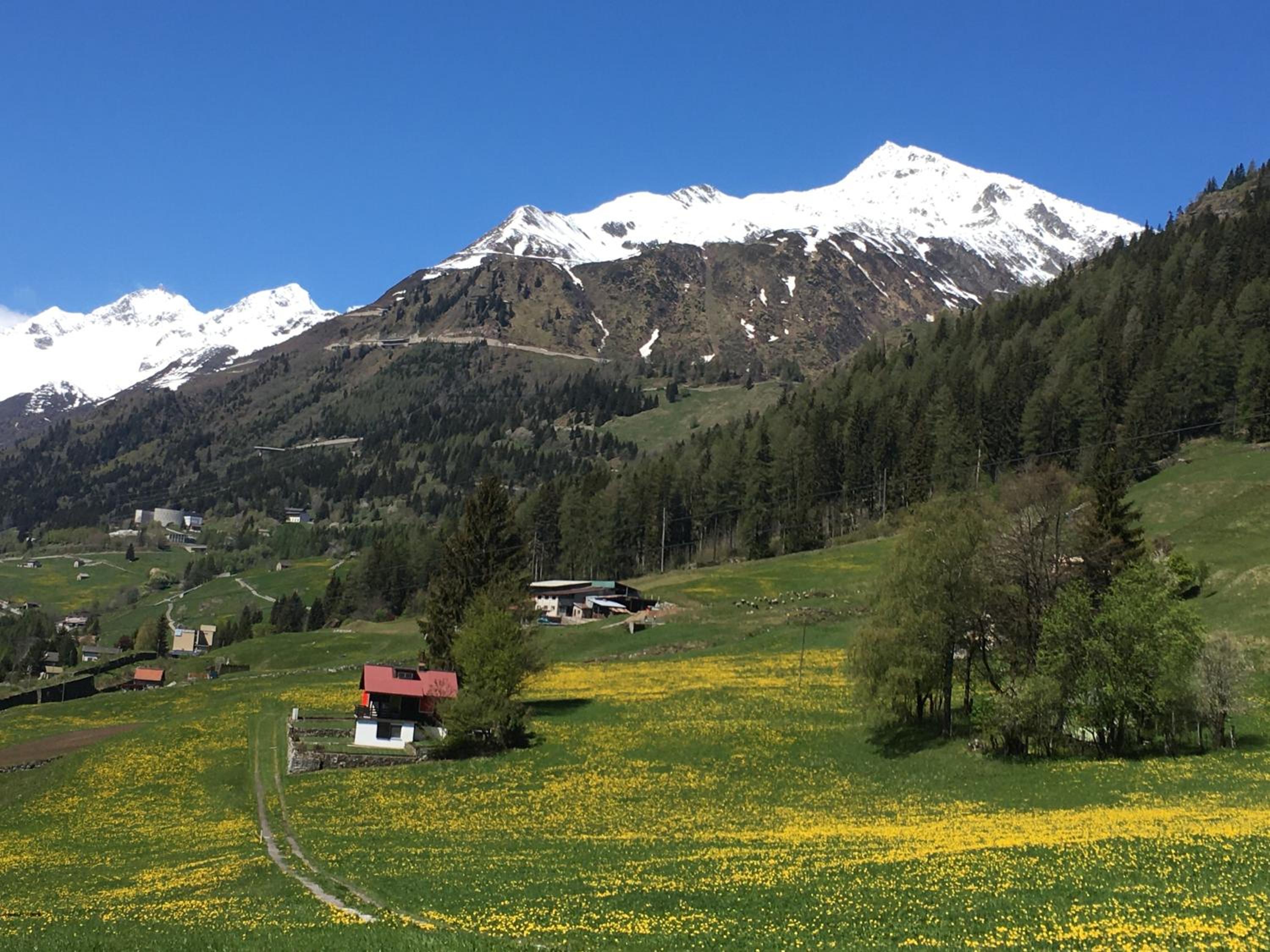 B&B Gottardo