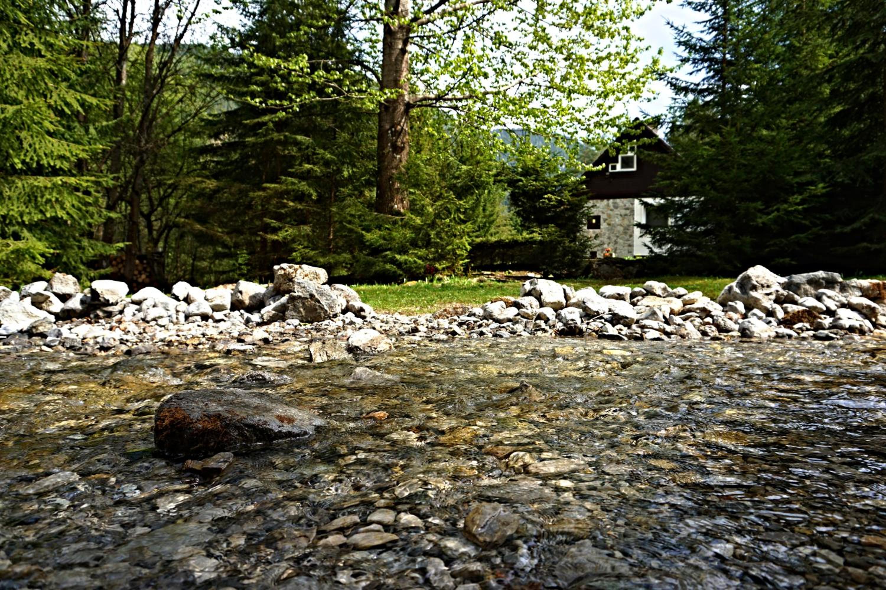 Photo 33