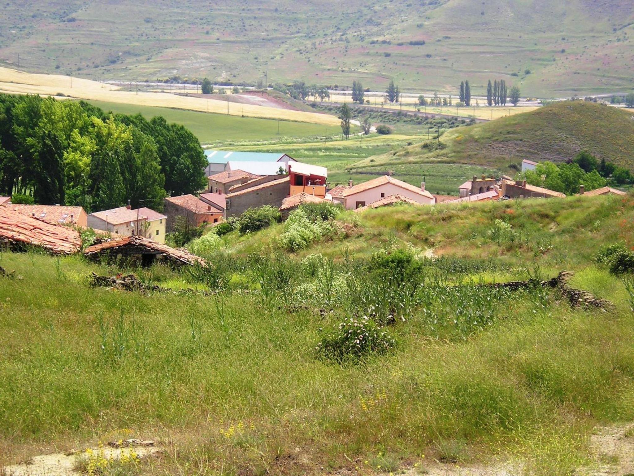 Photo 45