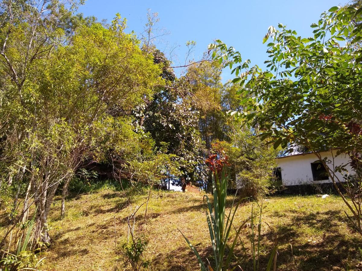 Photo 31