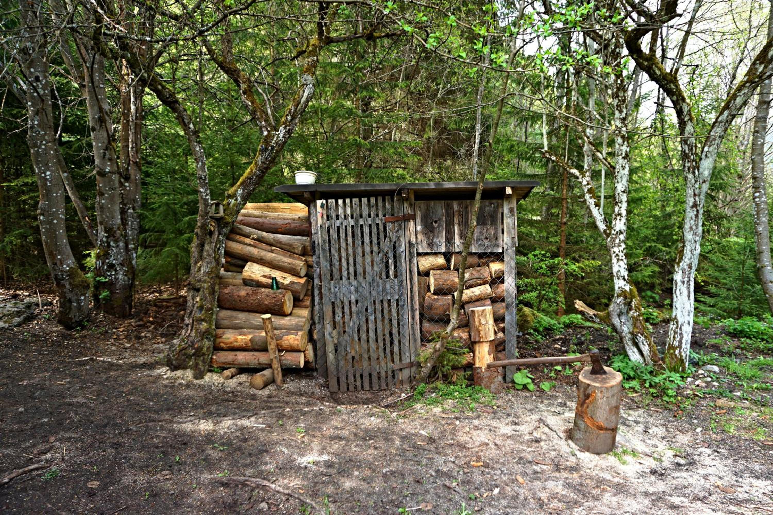 Photo 17