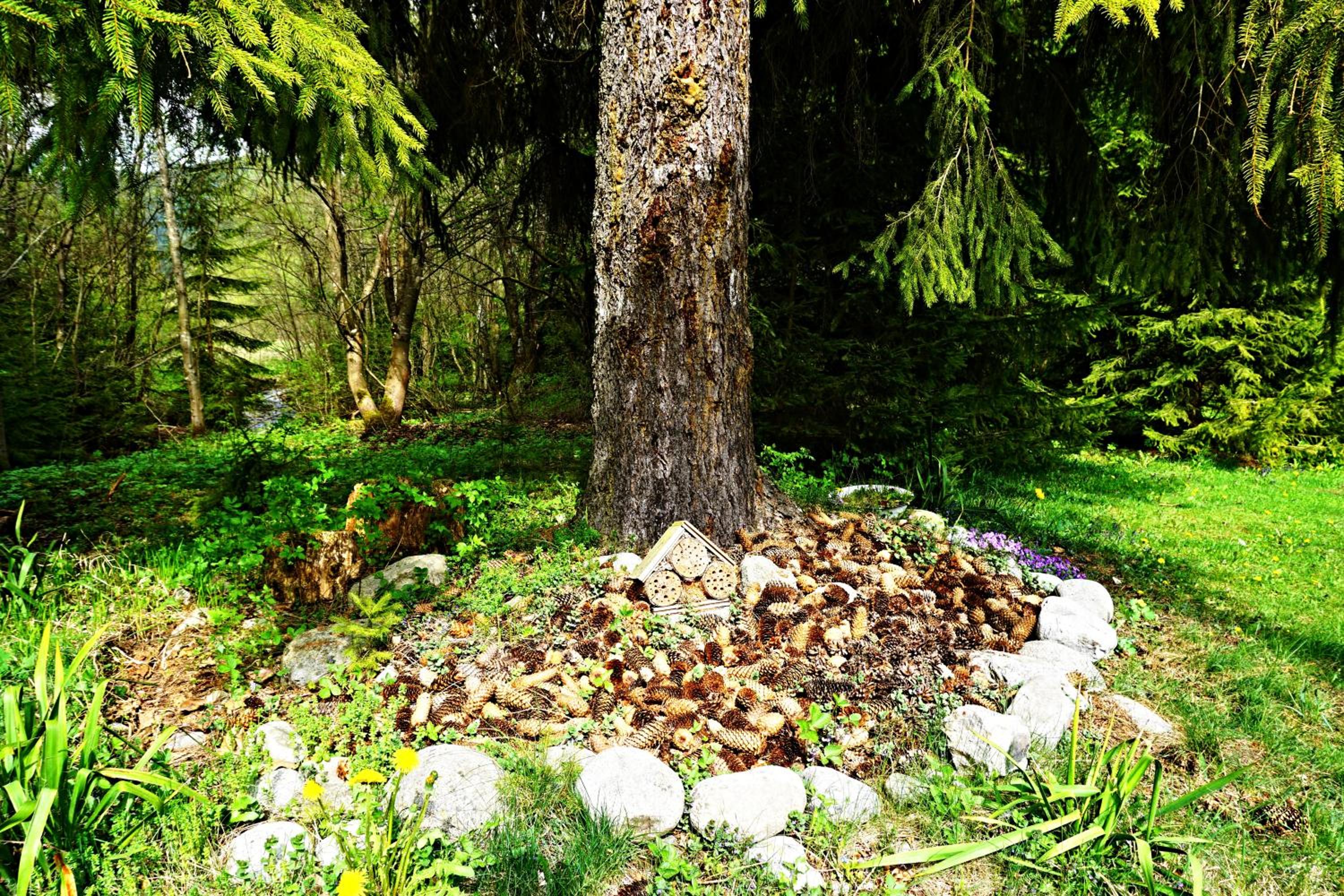 Photo 31