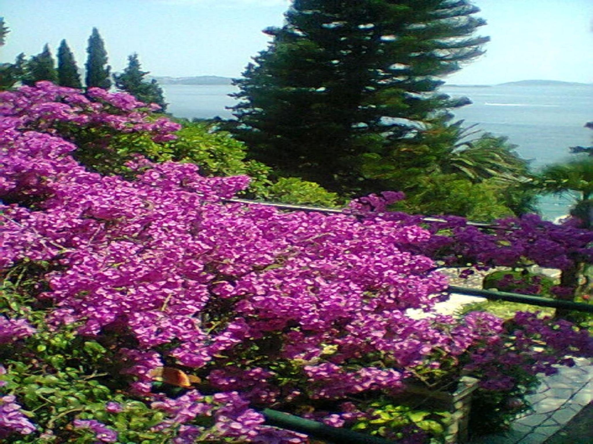 Guest House Villa Nina