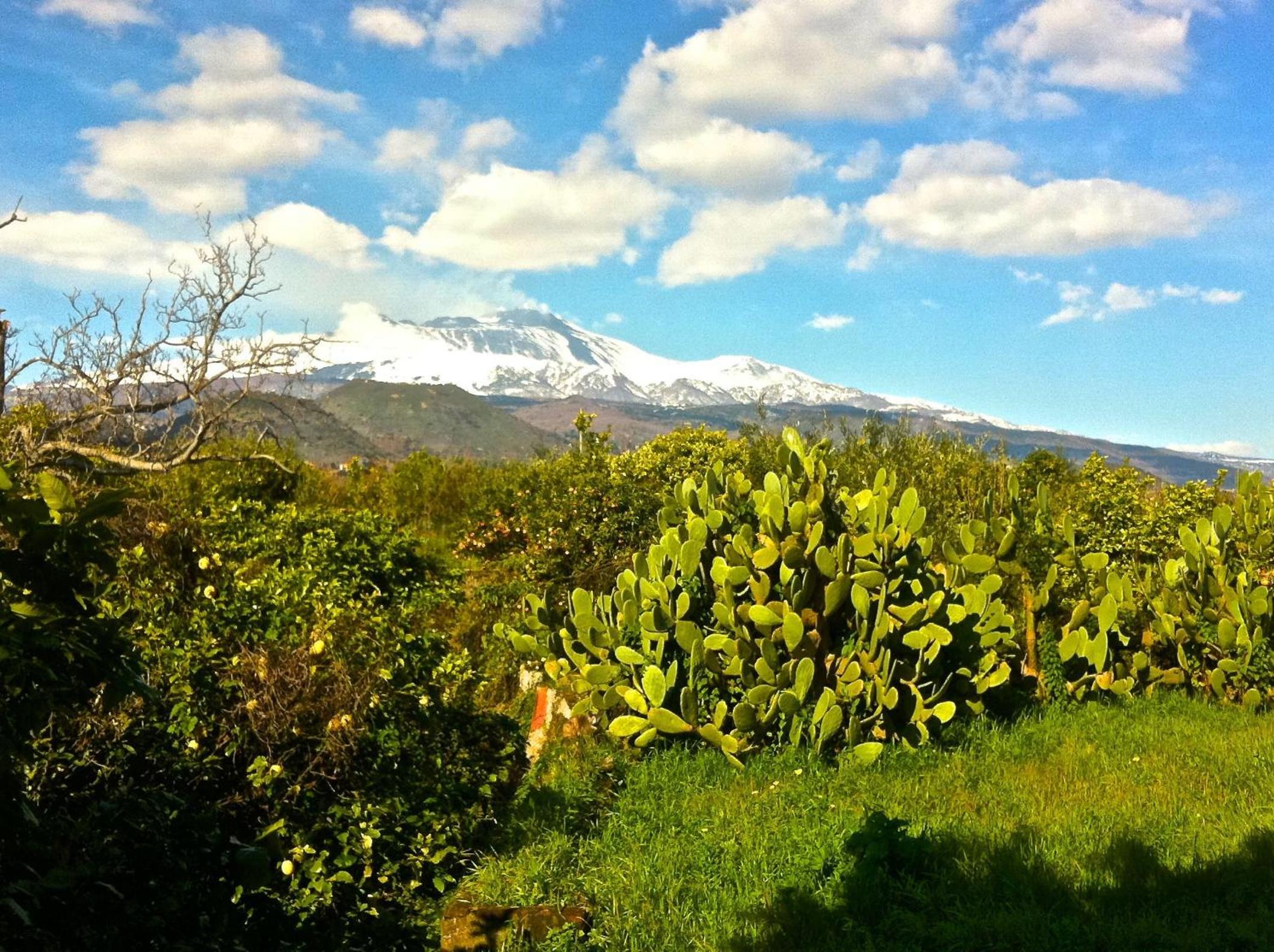 Villa Bonaccorso - antica e maestosa villa con piscina ai piedi dell'Etna