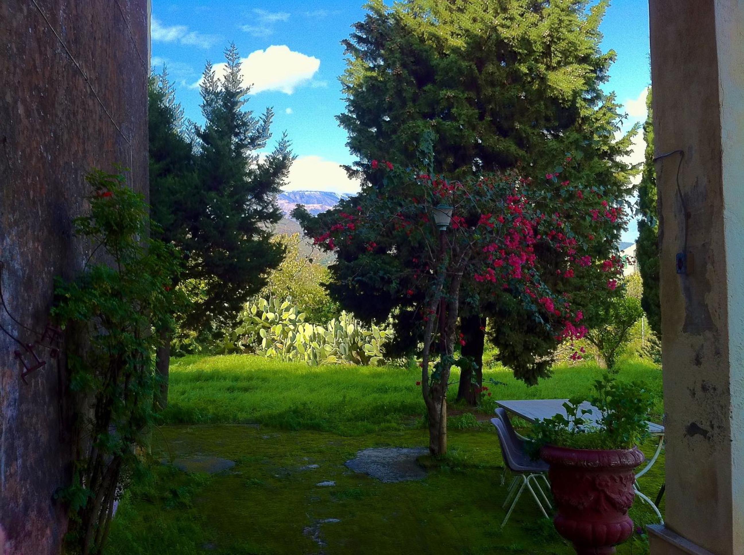 Villa Bonaccorso - antica e maestosa villa con piscina ai piedi dell'Etna