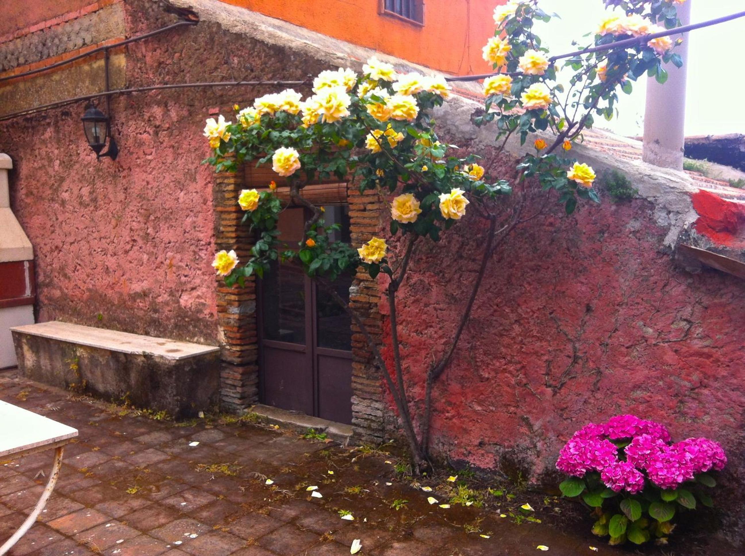 Villa Bonaccorso - antica e maestosa villa con piscina ai piedi dell'Etna