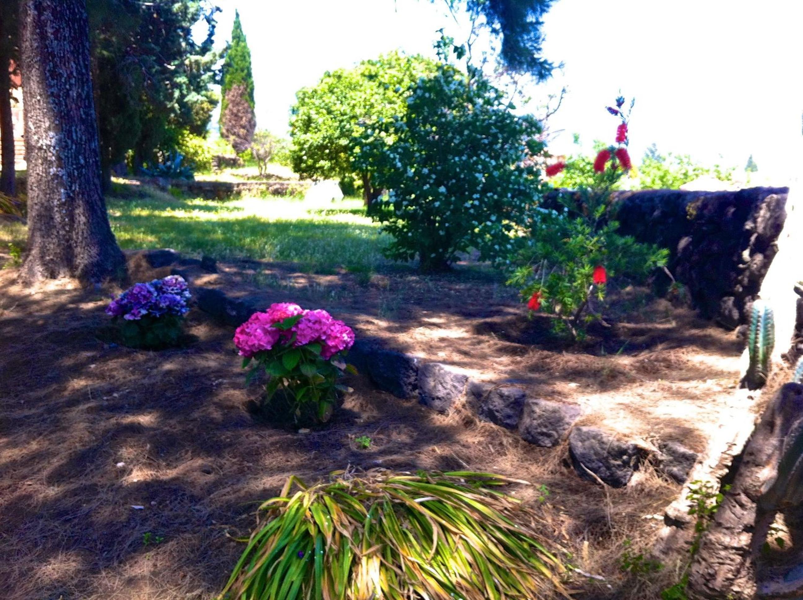 Villa Bonaccorso - antica e maestosa villa con piscina ai piedi dell'Etna