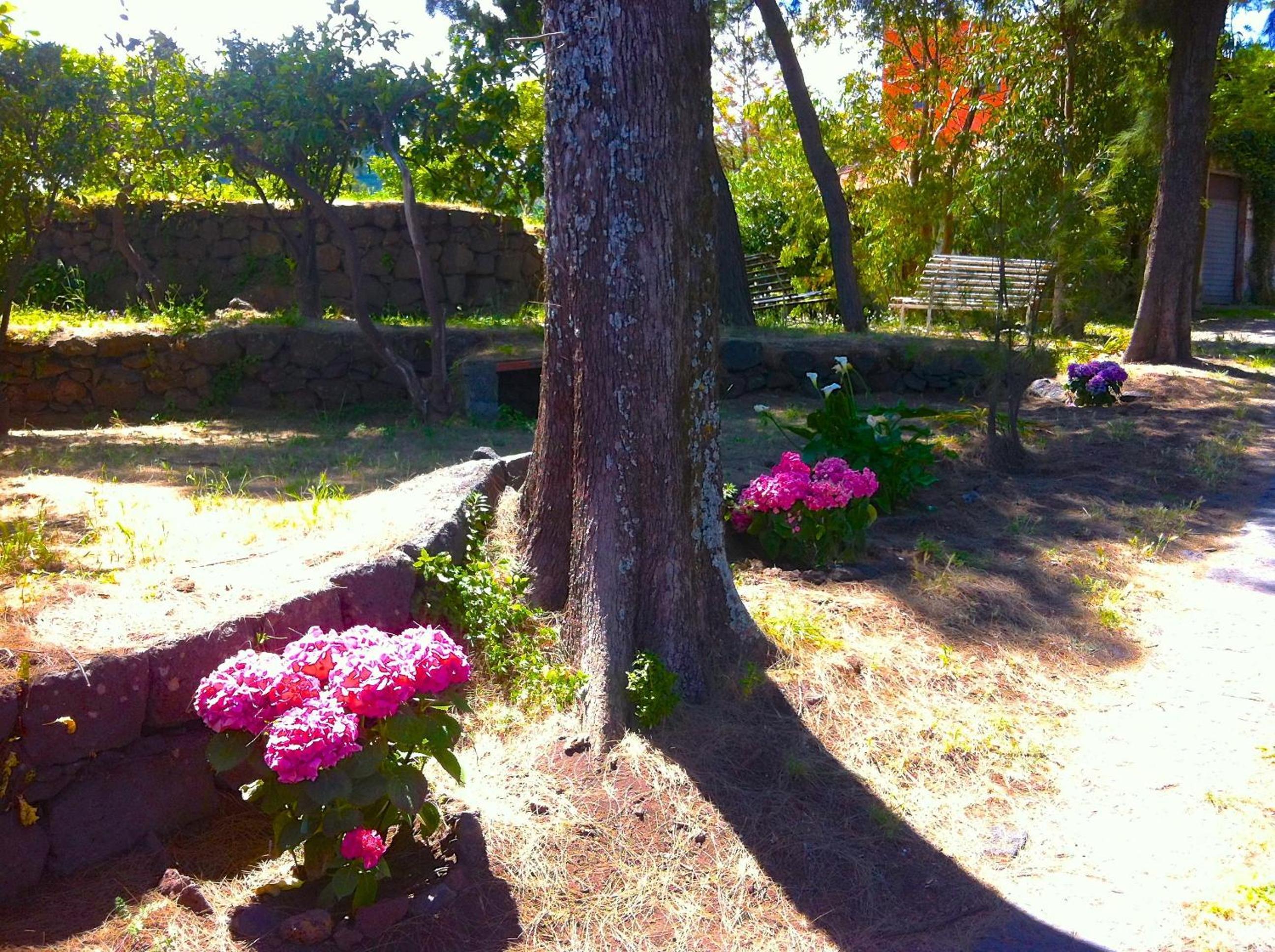 Villa Bonaccorso - antica e maestosa villa con piscina ai piedi dell'Etna