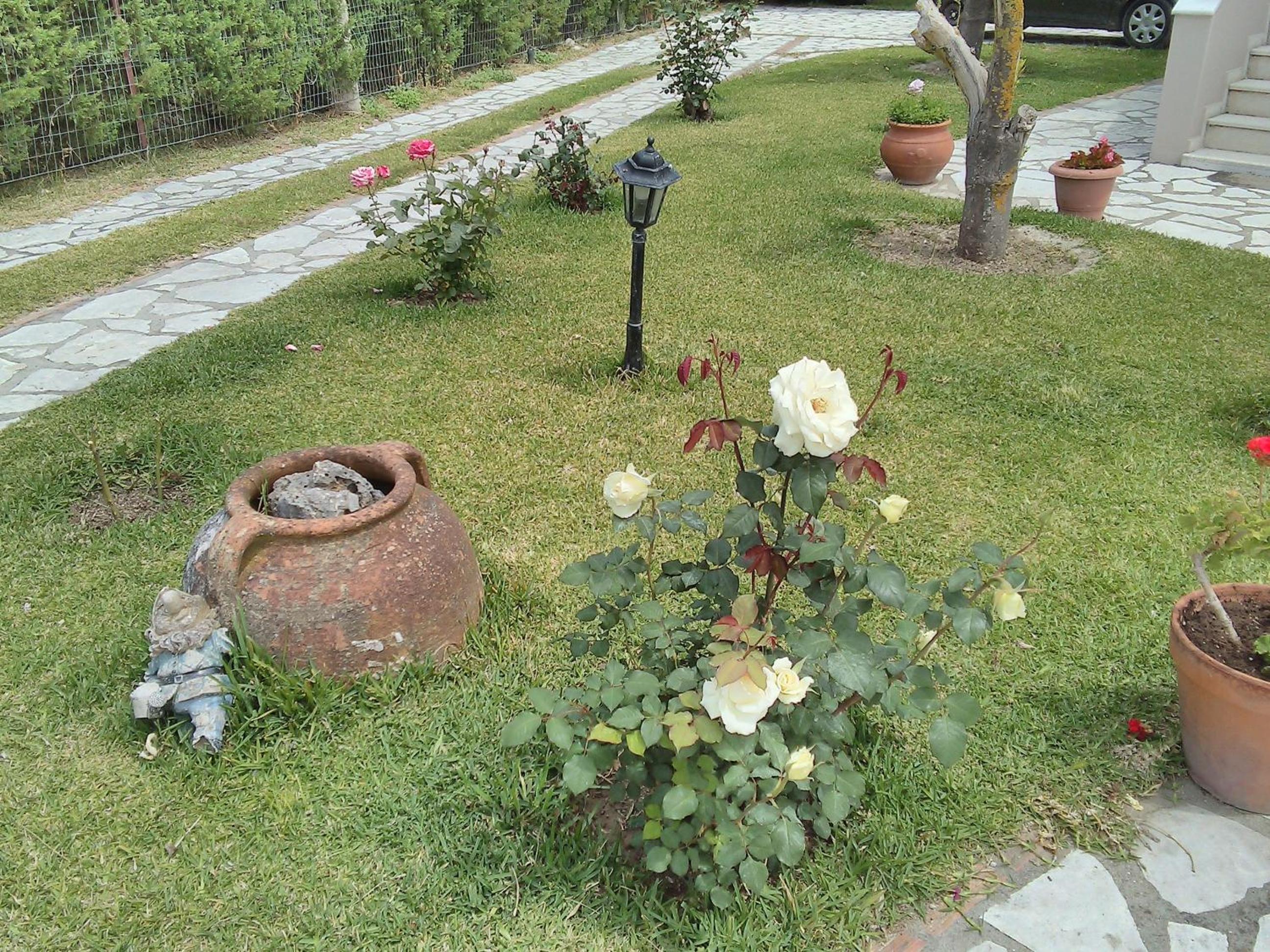 Casa memories