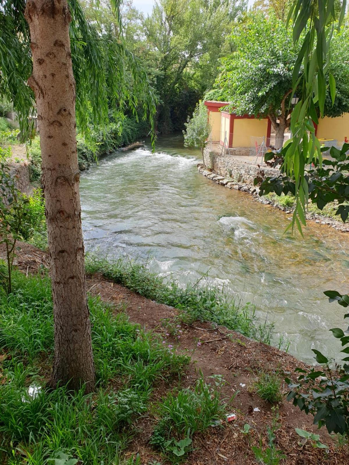 Photo 14