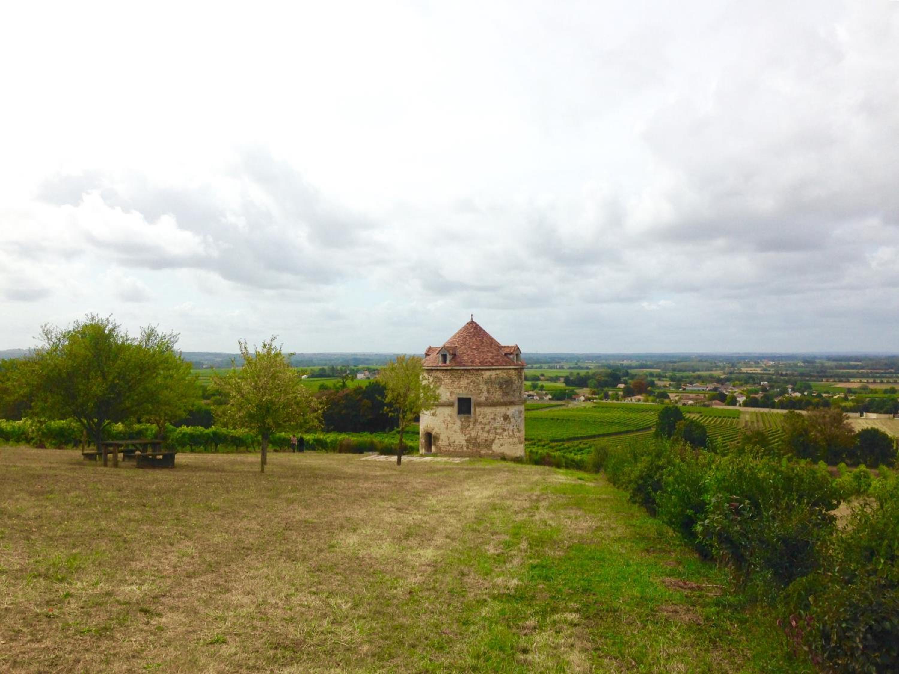 Photo 25