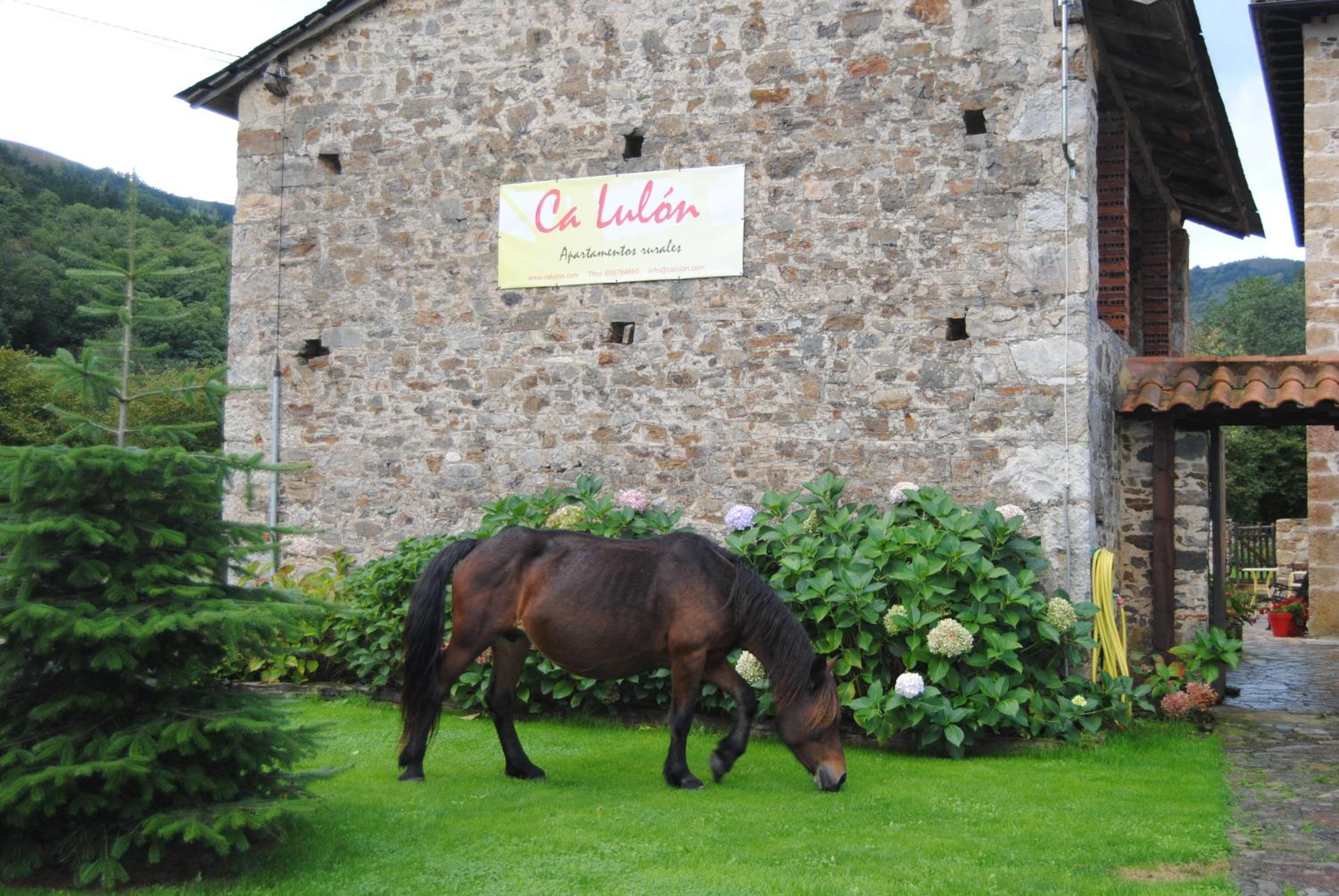 Apartamentos Rurales Ca Lulón