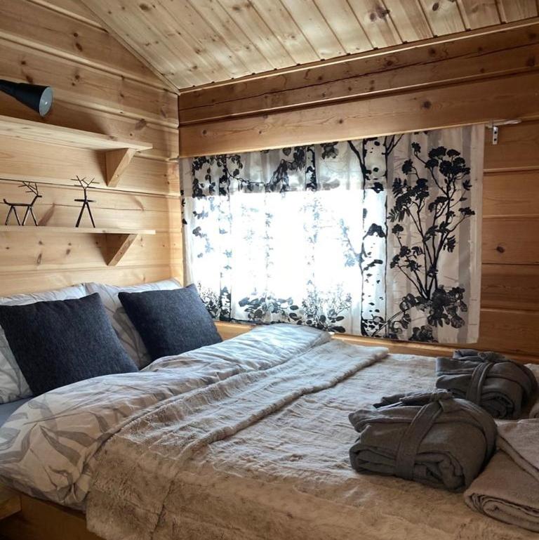 Aurora mökki kylpyaltaalla Lapissa Tenojoen rannassa view 5
