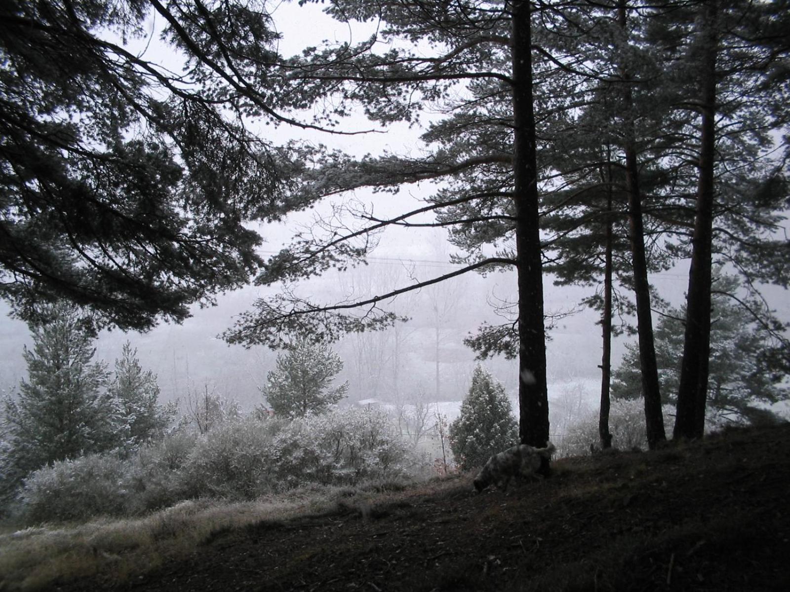 Photo 33