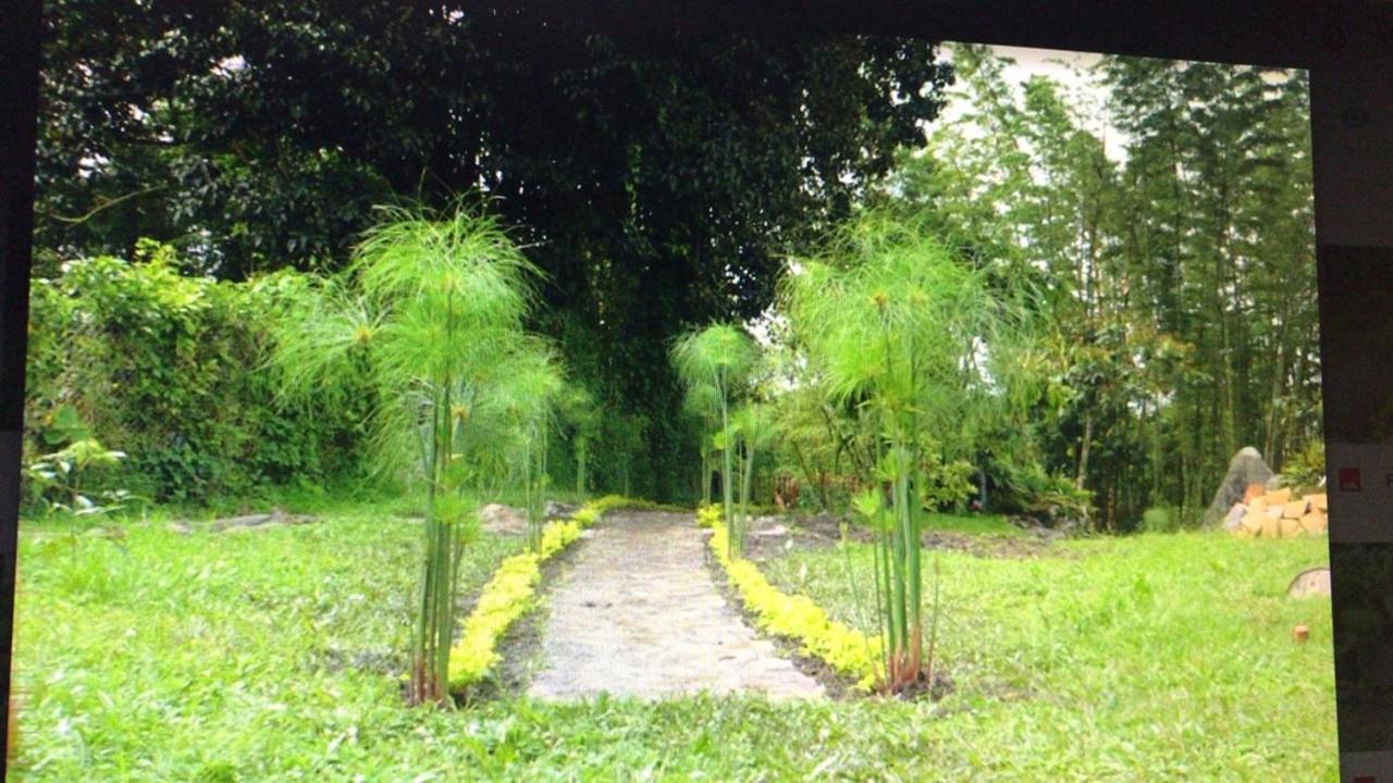 Photo 44