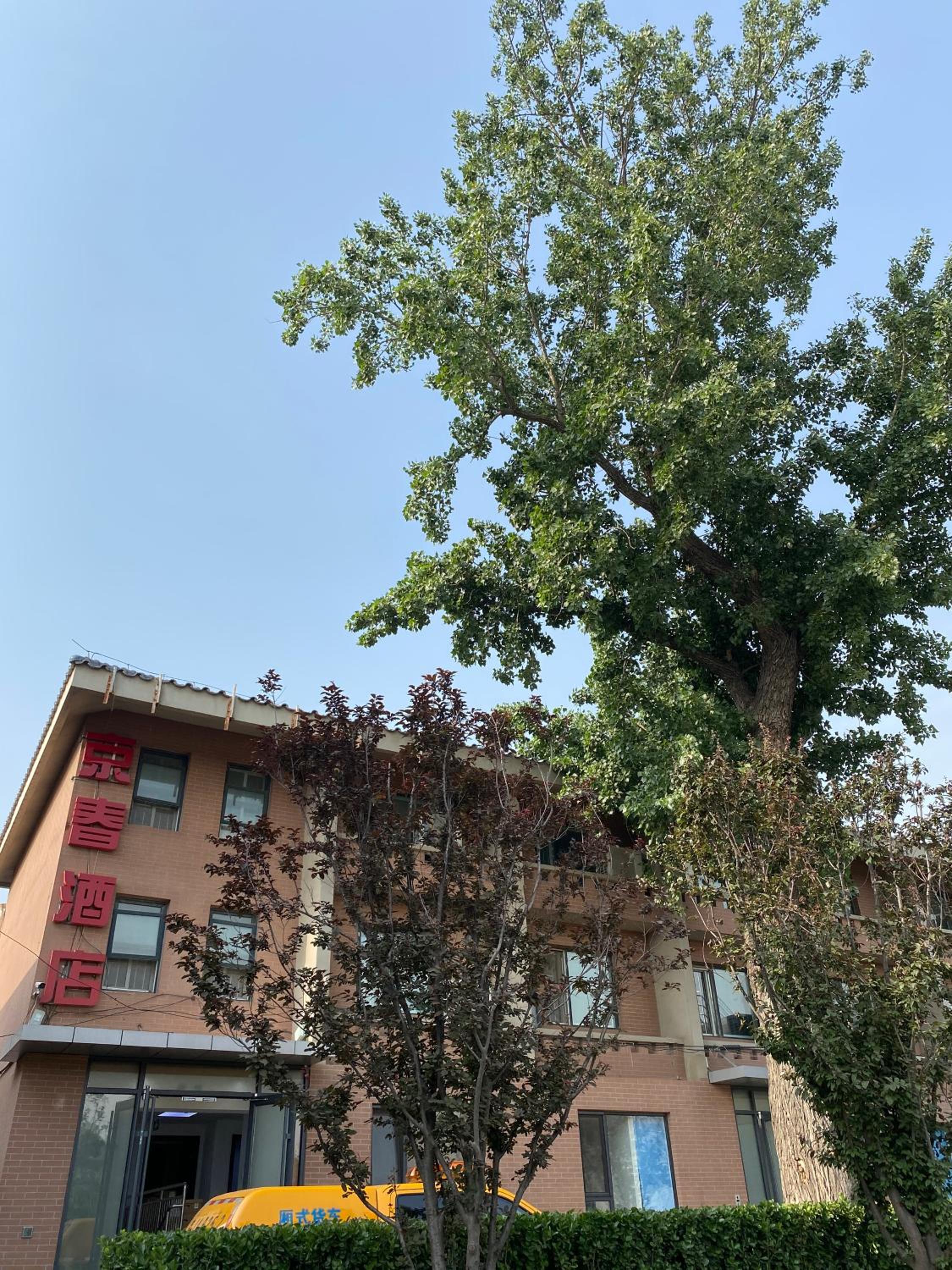 Photo 18