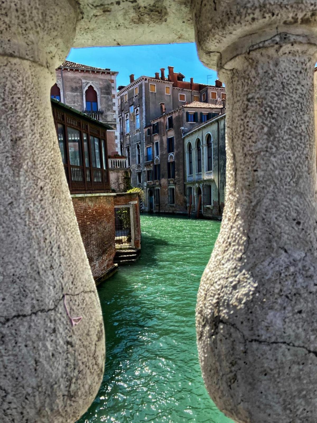 Venexia House to Rialto