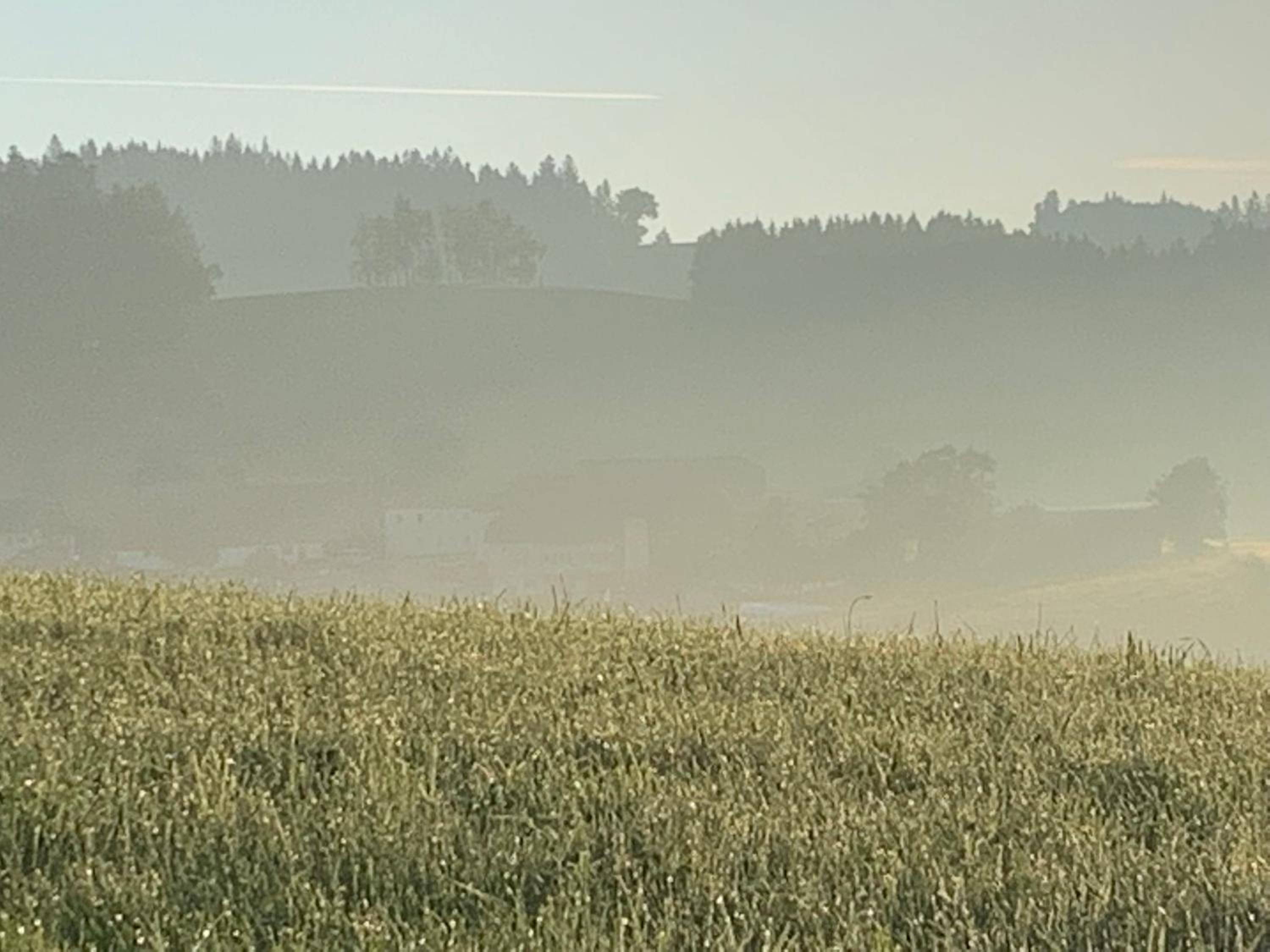 Ferienwohnung-Mühlviertel