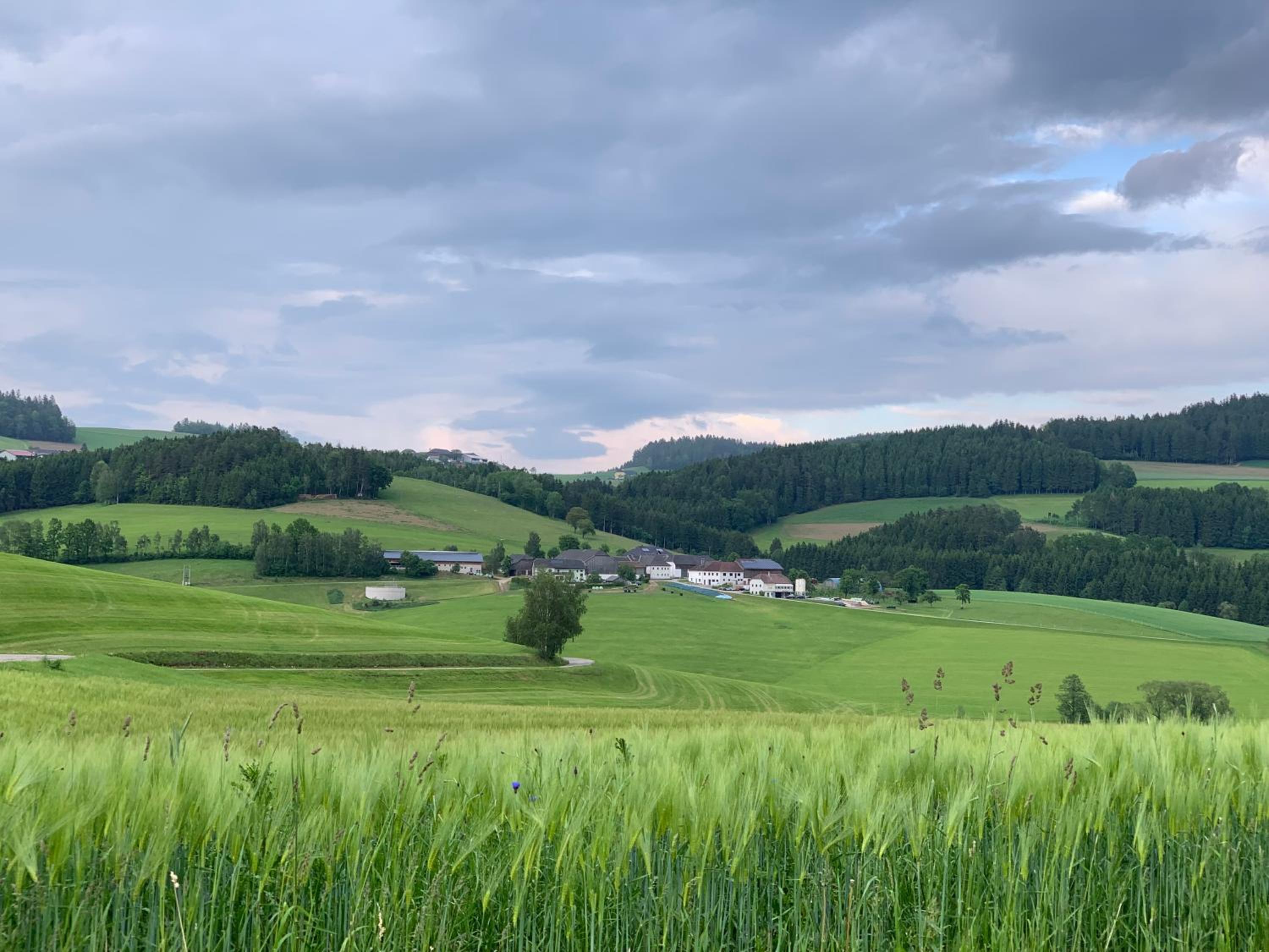 Ferienwohnung-Mühlviertel