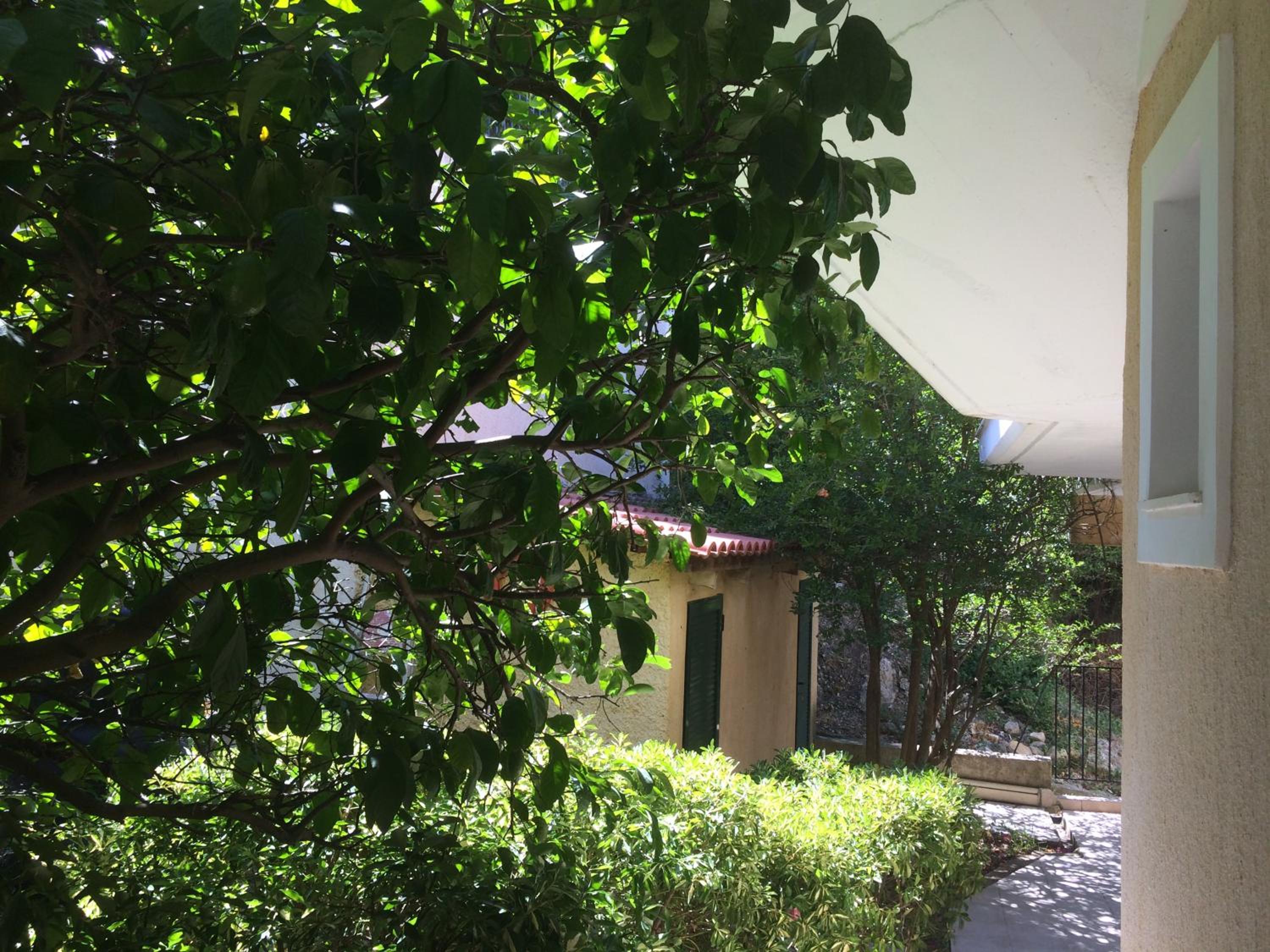 Giannatos' Studios - Makis photo 4