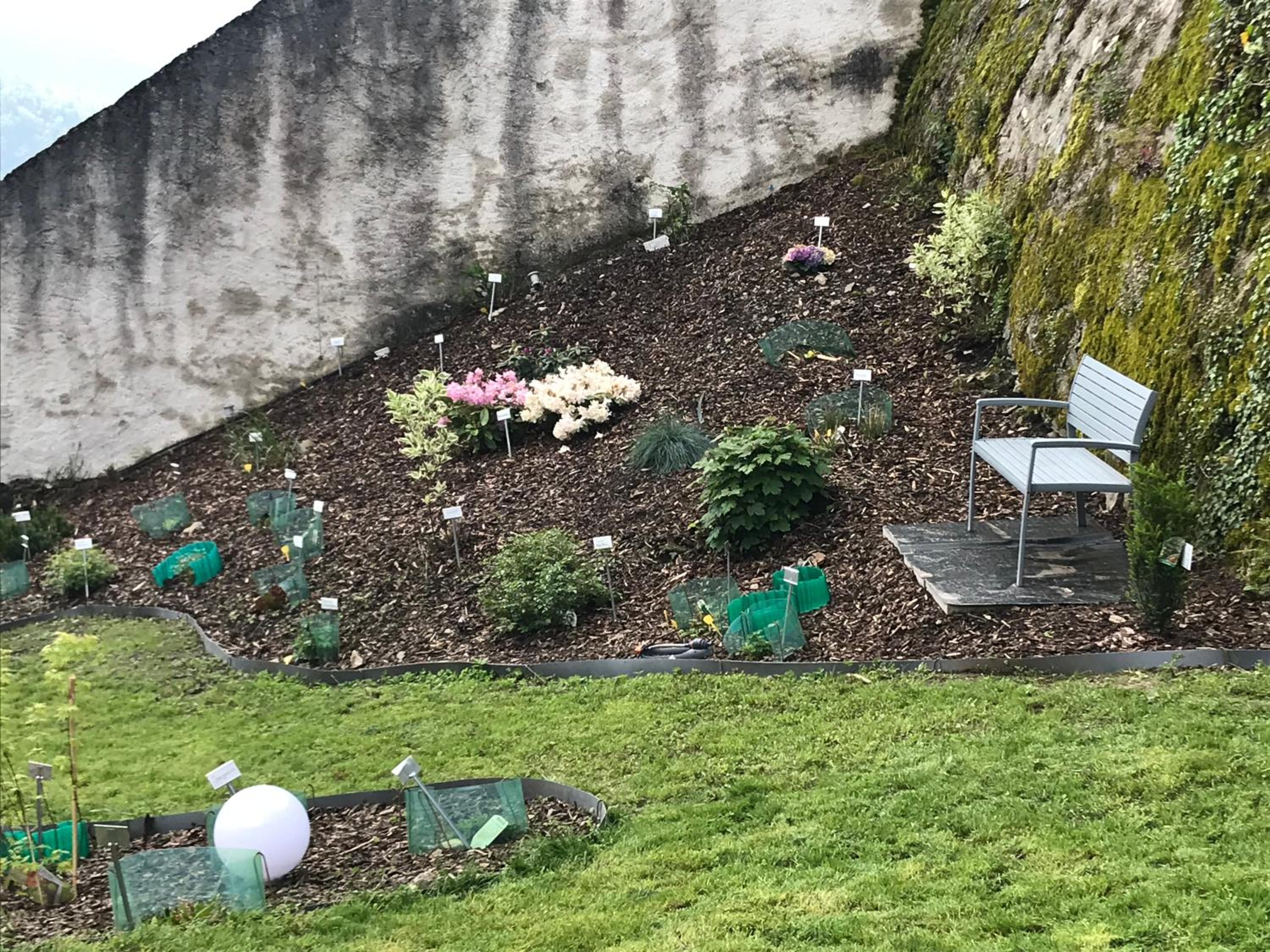 Photo 17