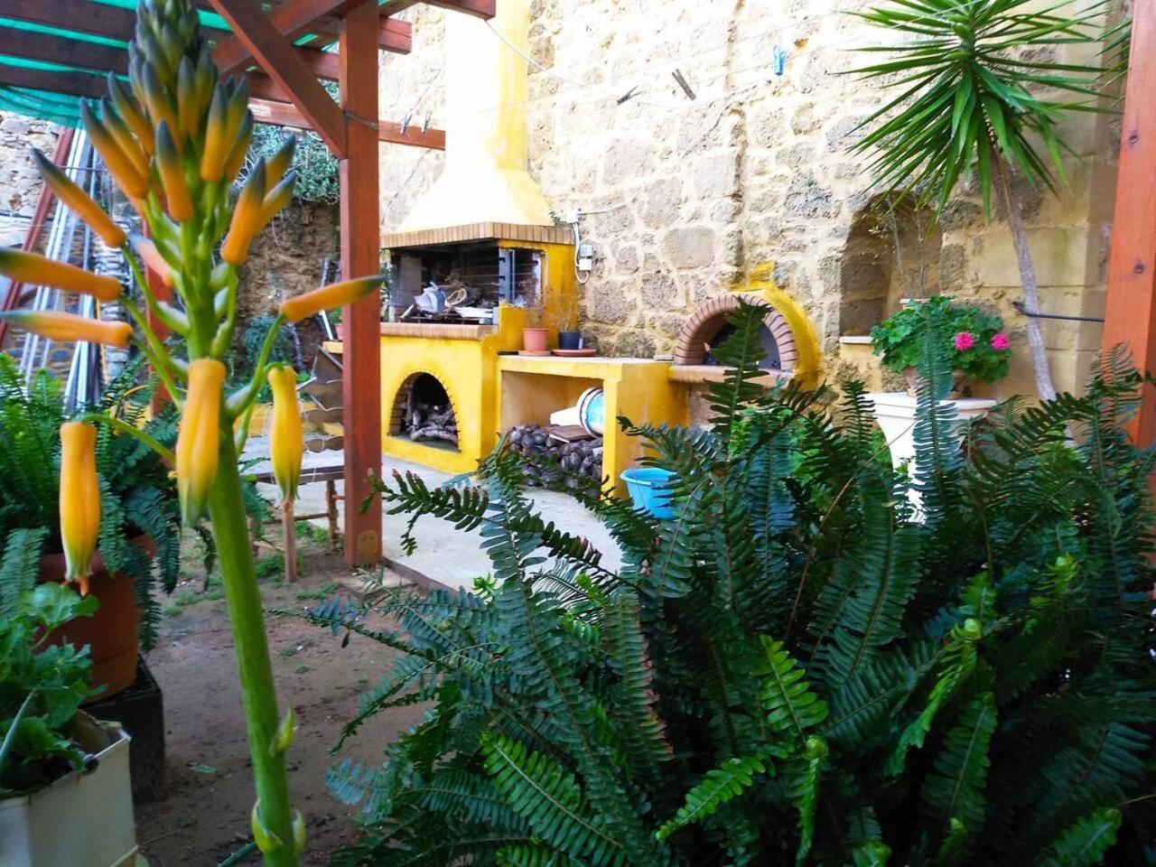 Riza Falasarna Apartments photo 4